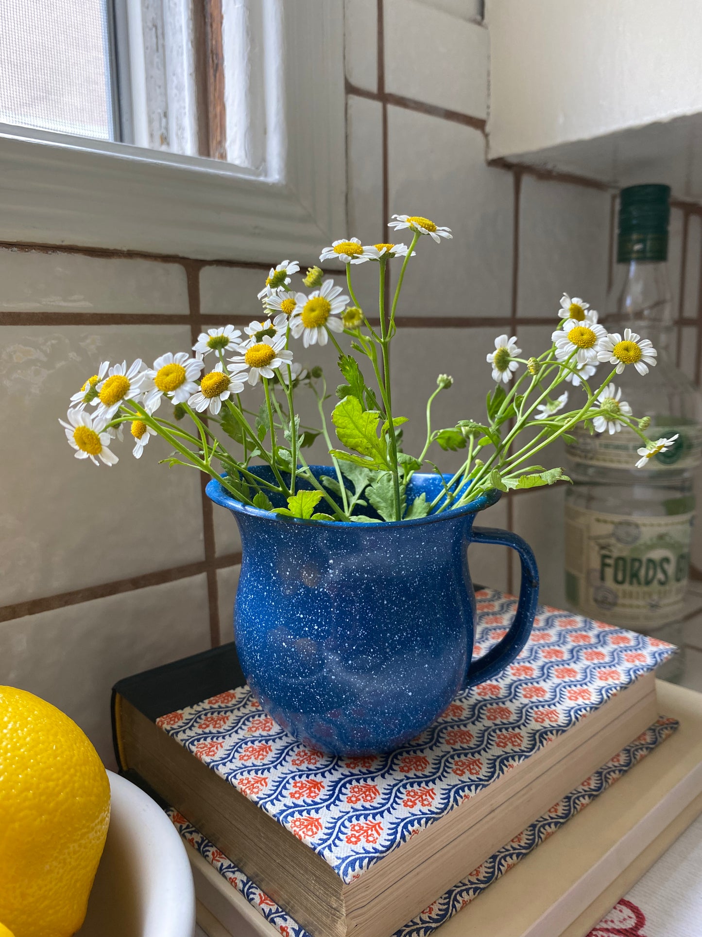 Stargazing Mini Pitcher