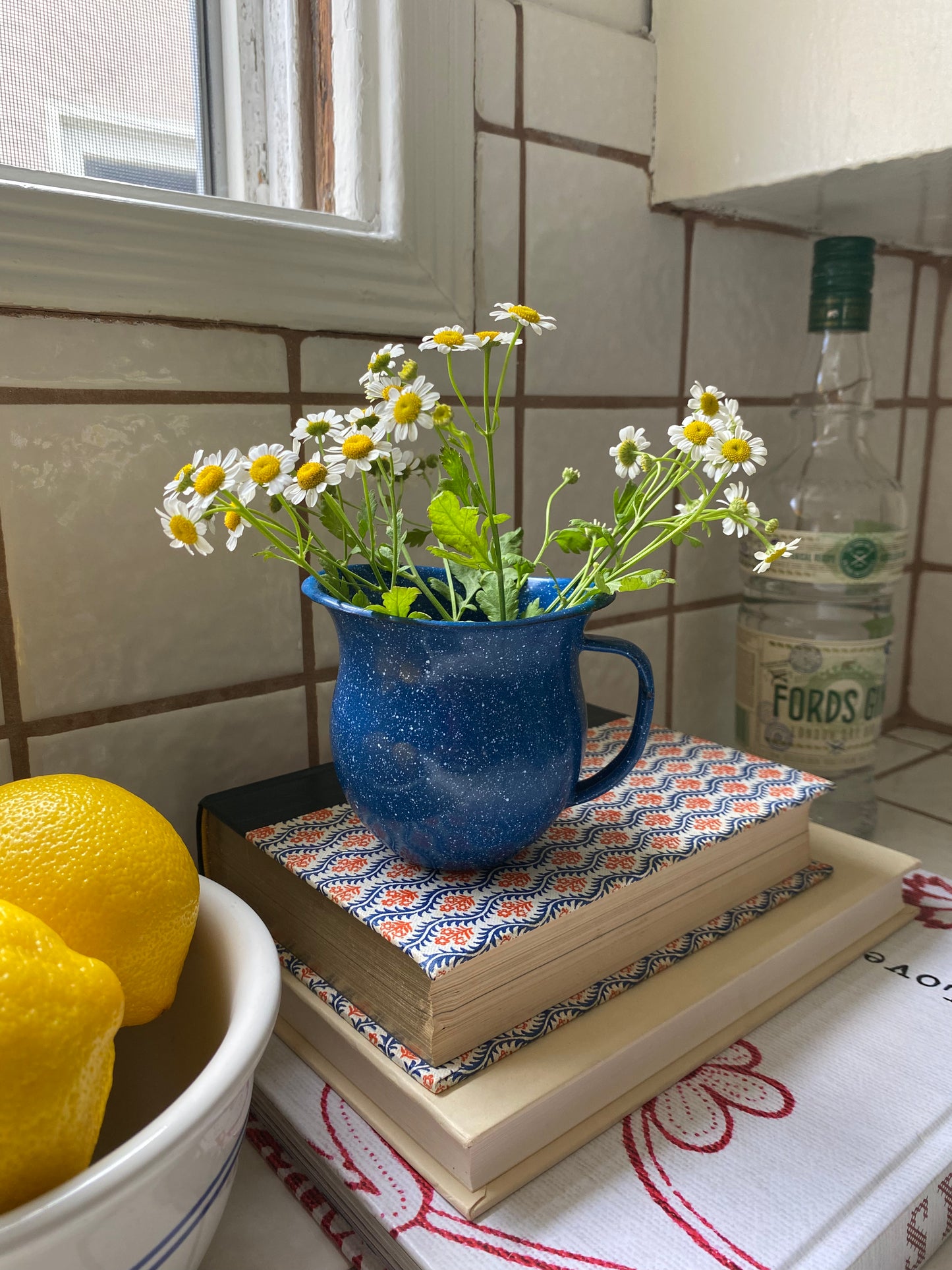 Stargazing Mini Pitcher