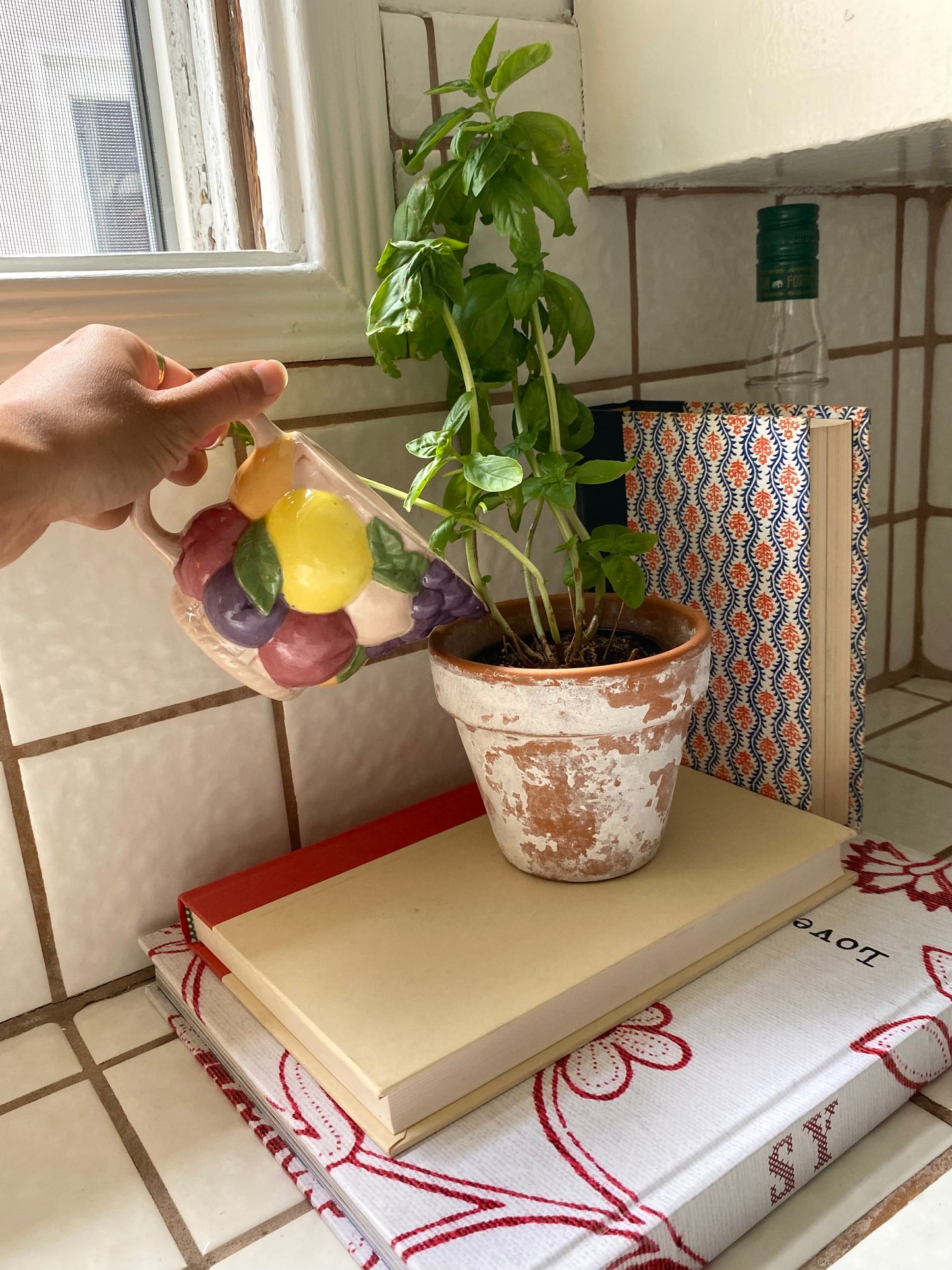 Fruit Salad Mini Pitcher