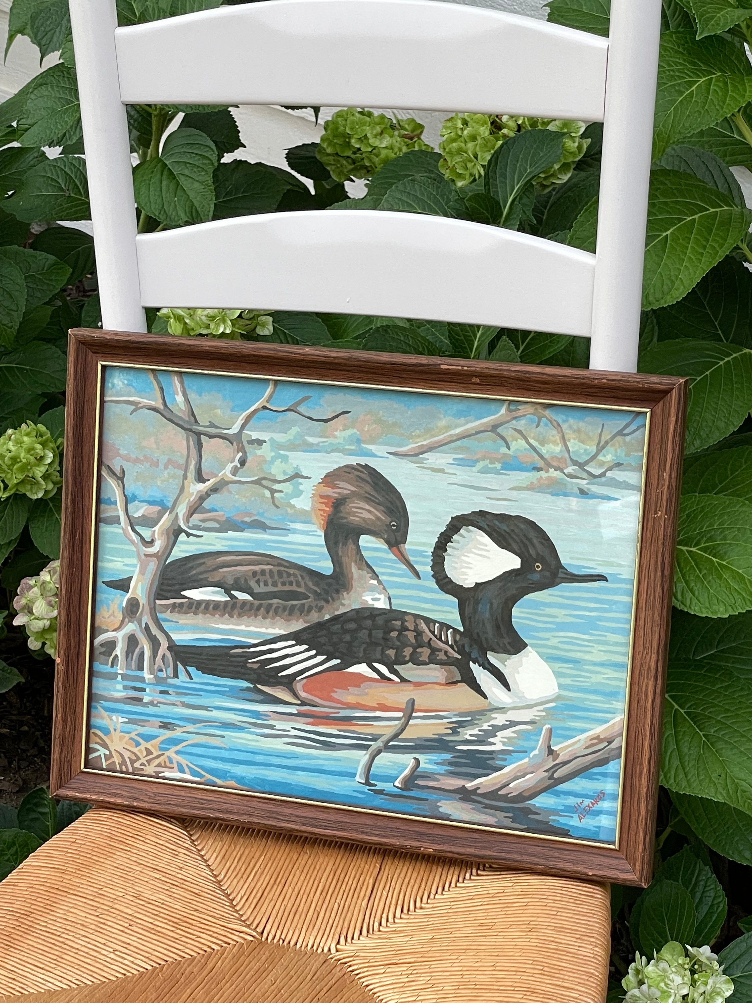 Duck Pond Framed Painting
