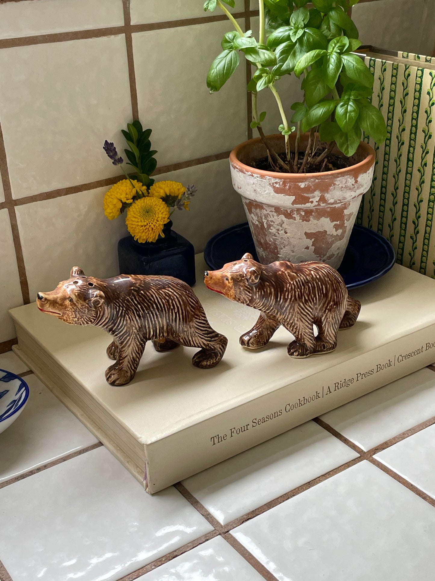 Brown Bear Salt & Pepper Shakers