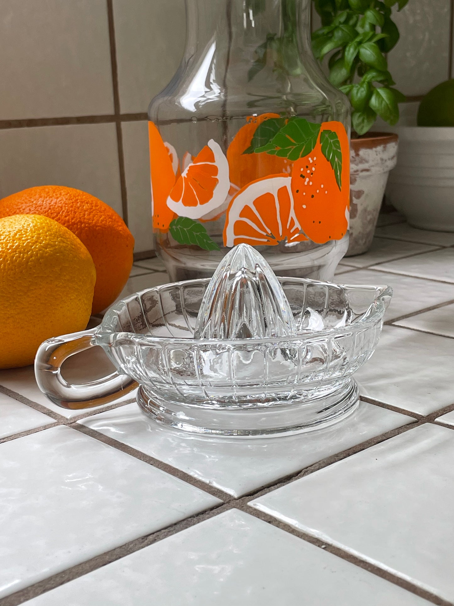 Citrus Glass Juicer
