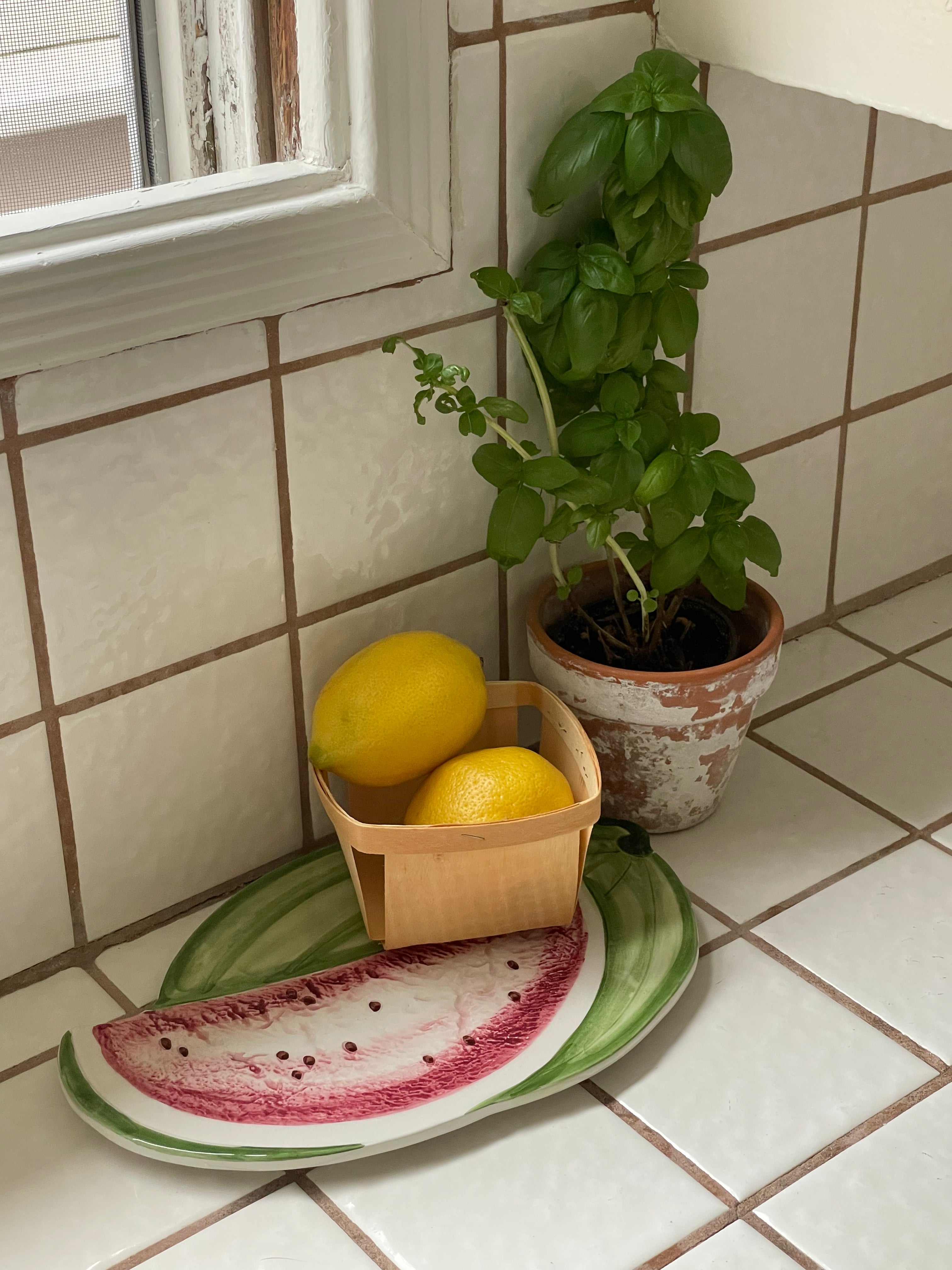 Watermelon Slice Trivet