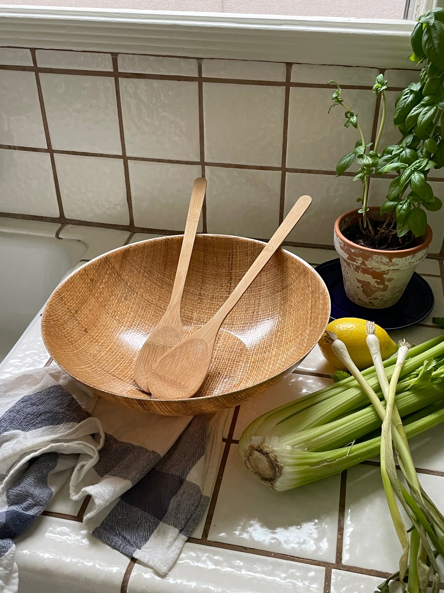 Woven Resin Coated Serving Bowl