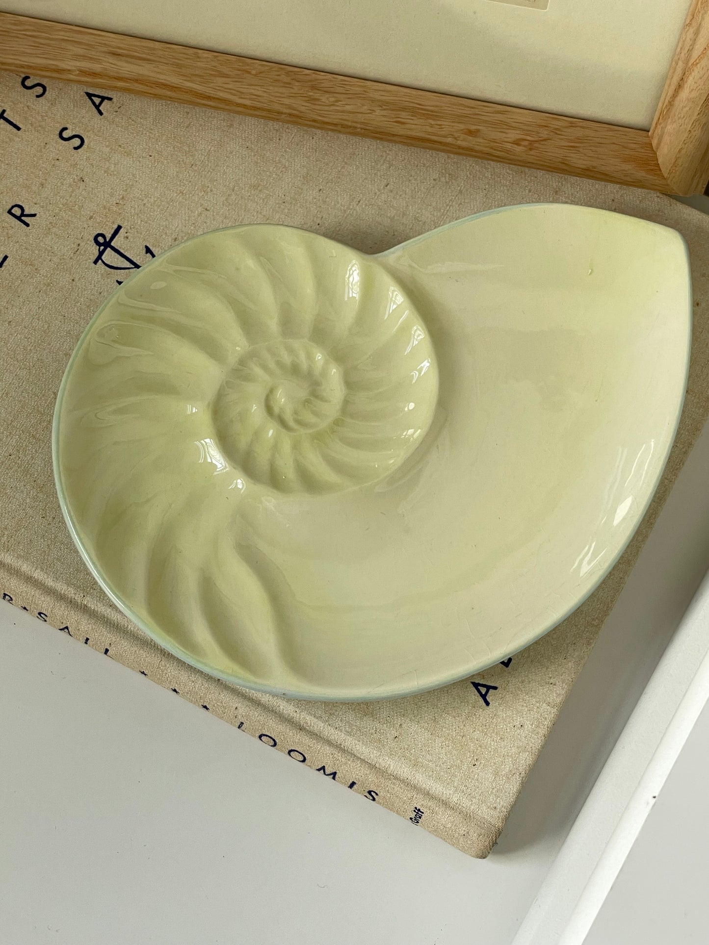 Shelly Trinket Plate