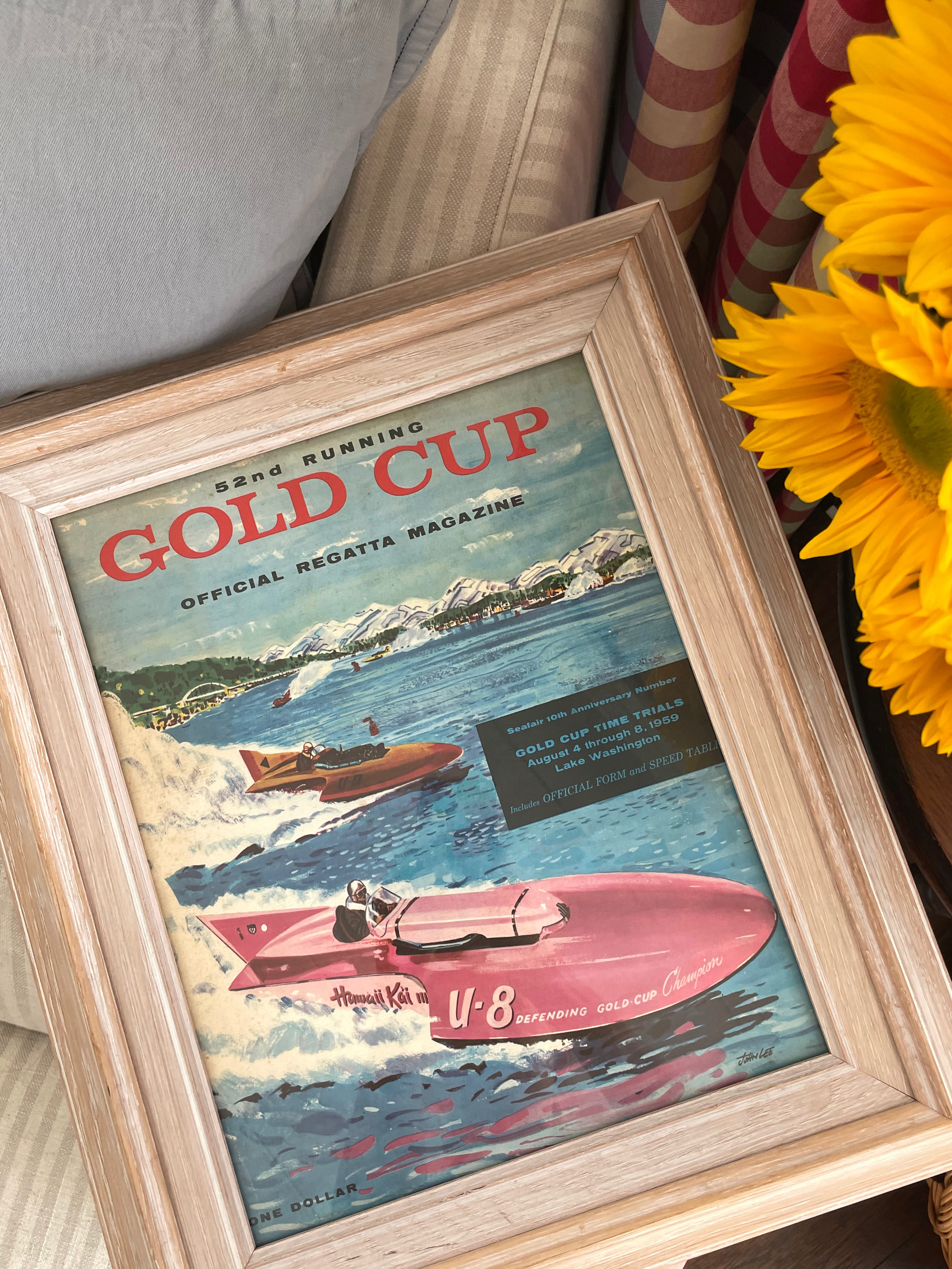 World Cup Regatta Framed Art