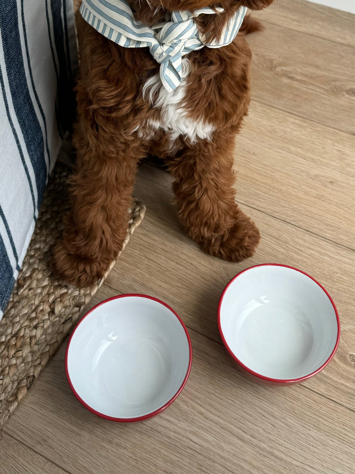 Rover Pet Bowls