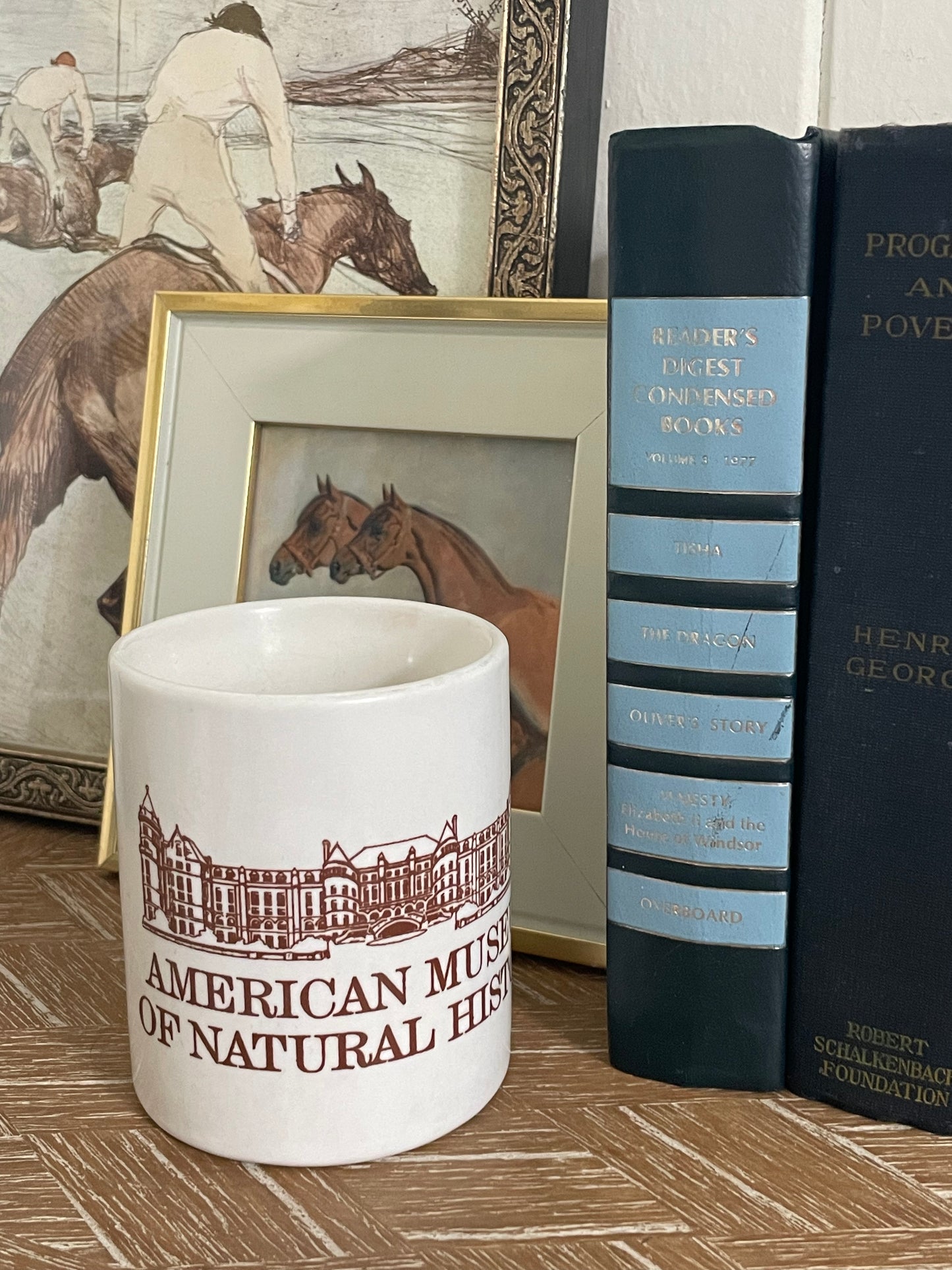 American Museum of Natural History Mug