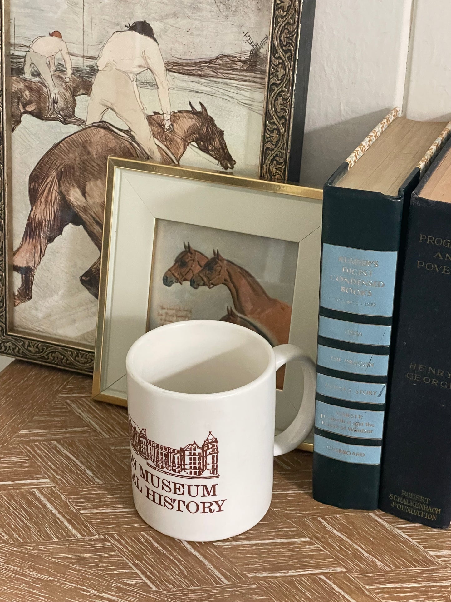 American Museum of Natural History Mug