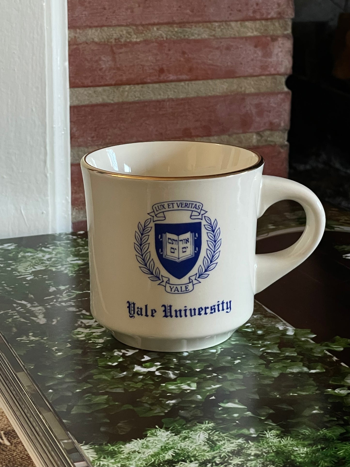 Yale Mug