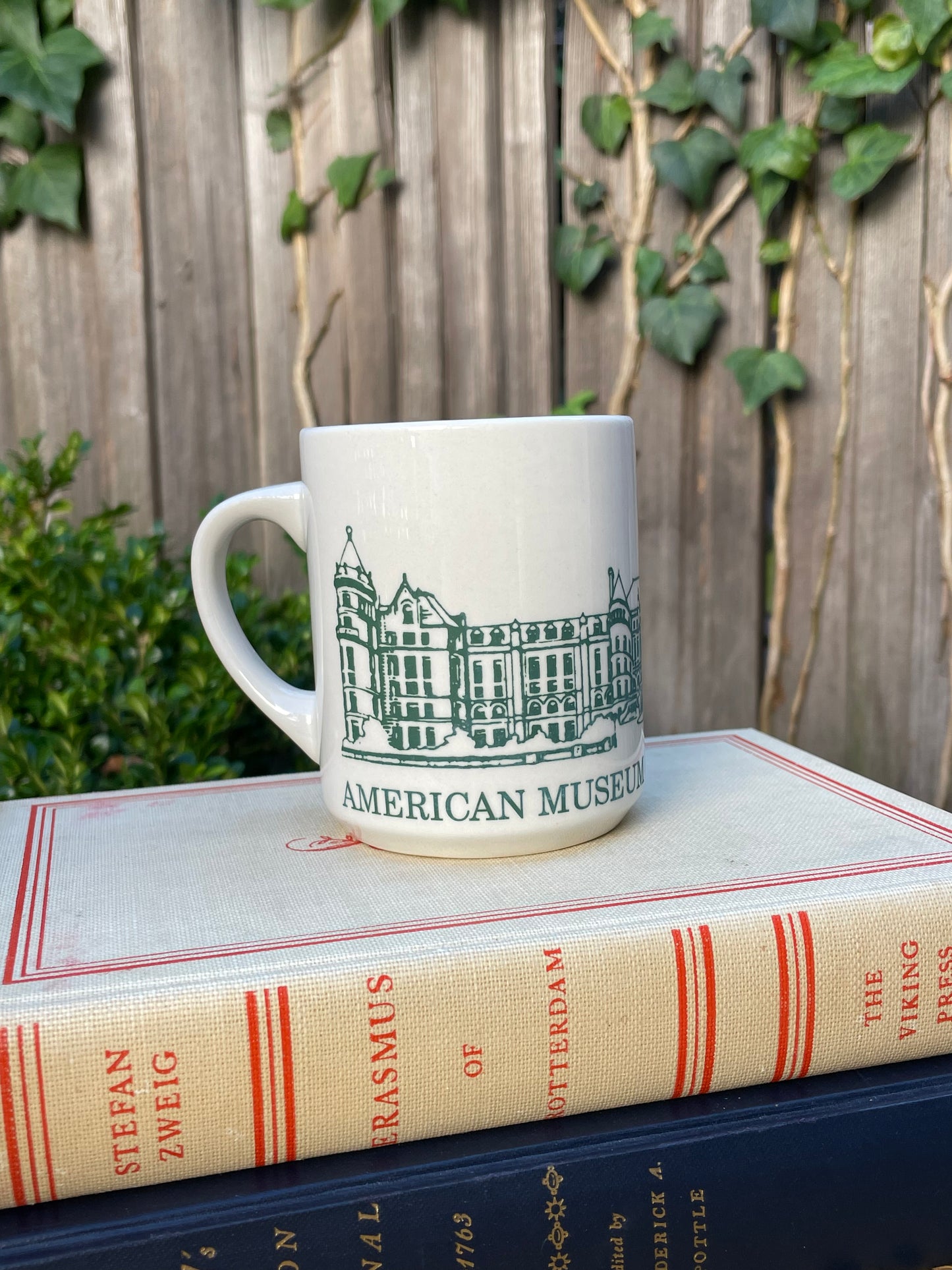 American Museum of Natural History Mug