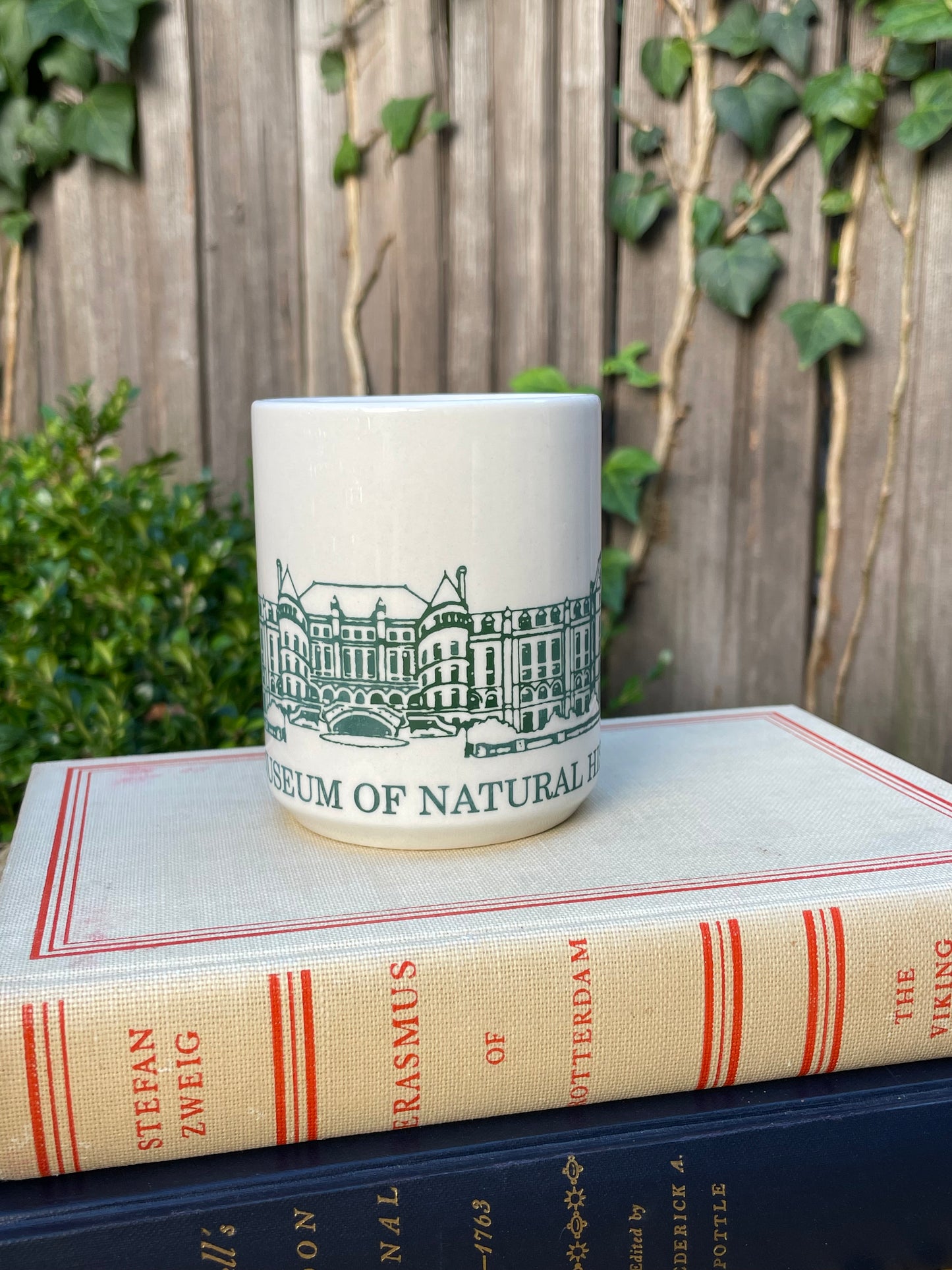 American Museum of Natural History Mug