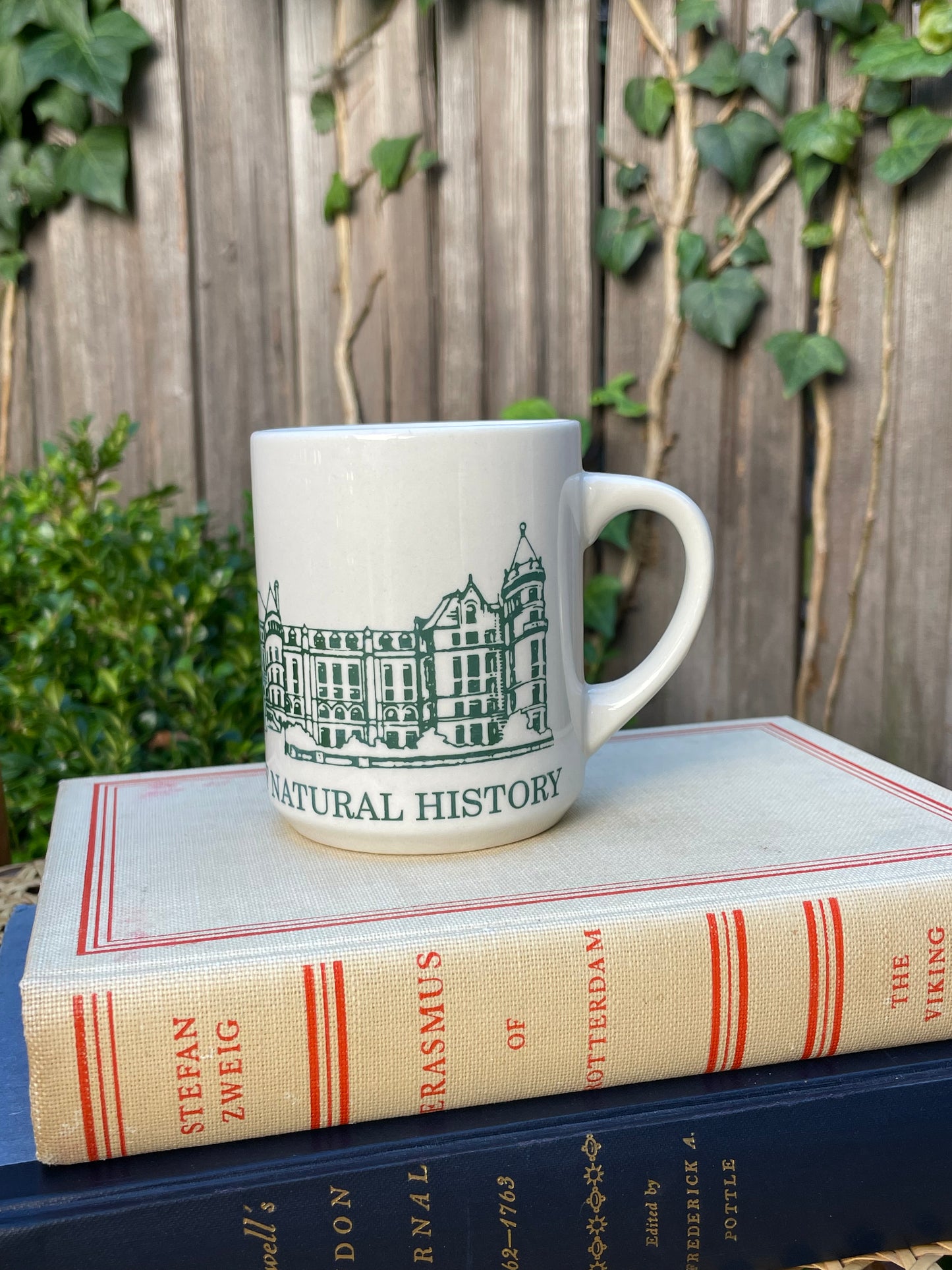American Museum of Natural History Mug