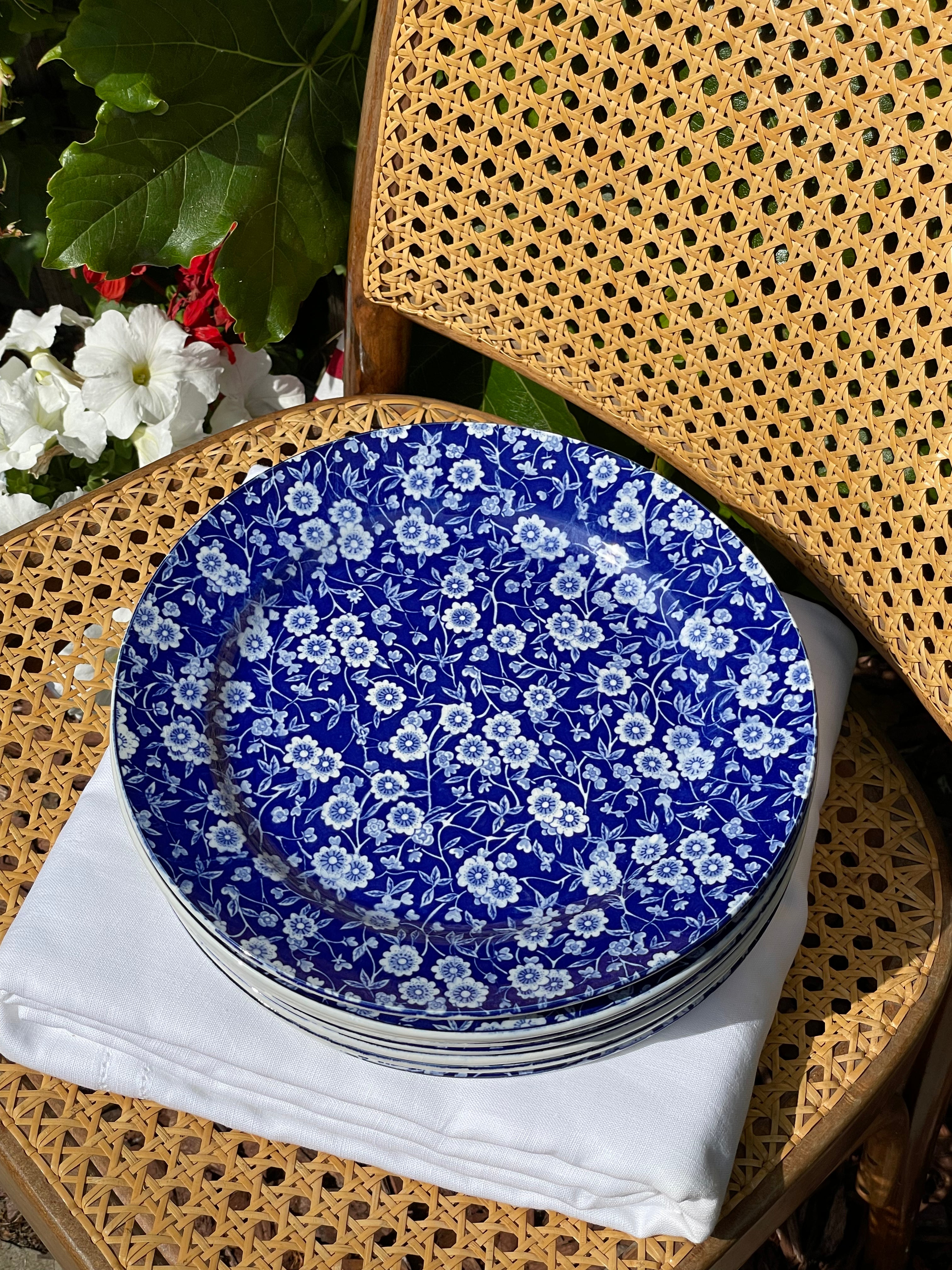 Camden Dinner Plates, Set of 8