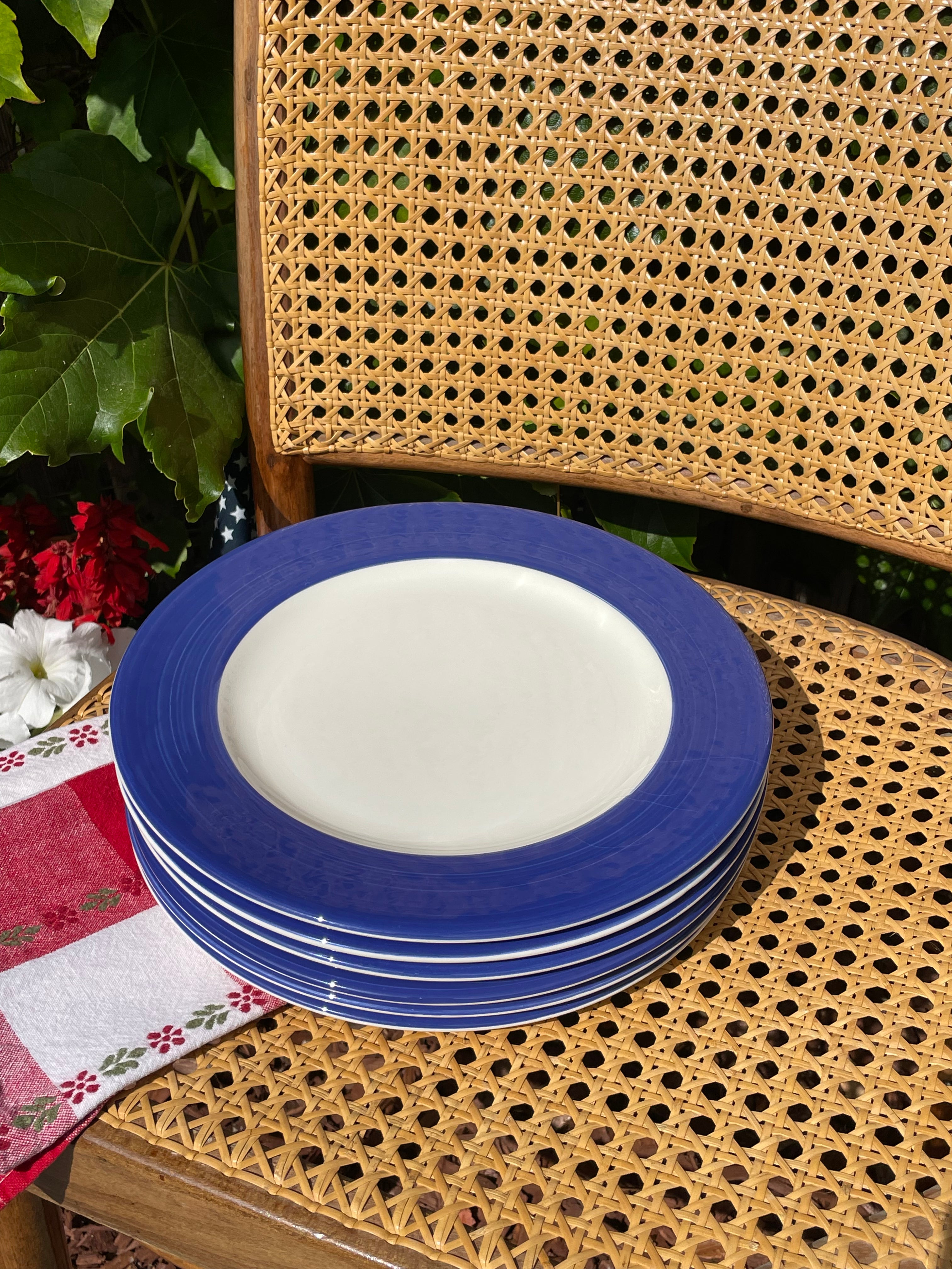 Hamilton Dinner Plates, Set of 6