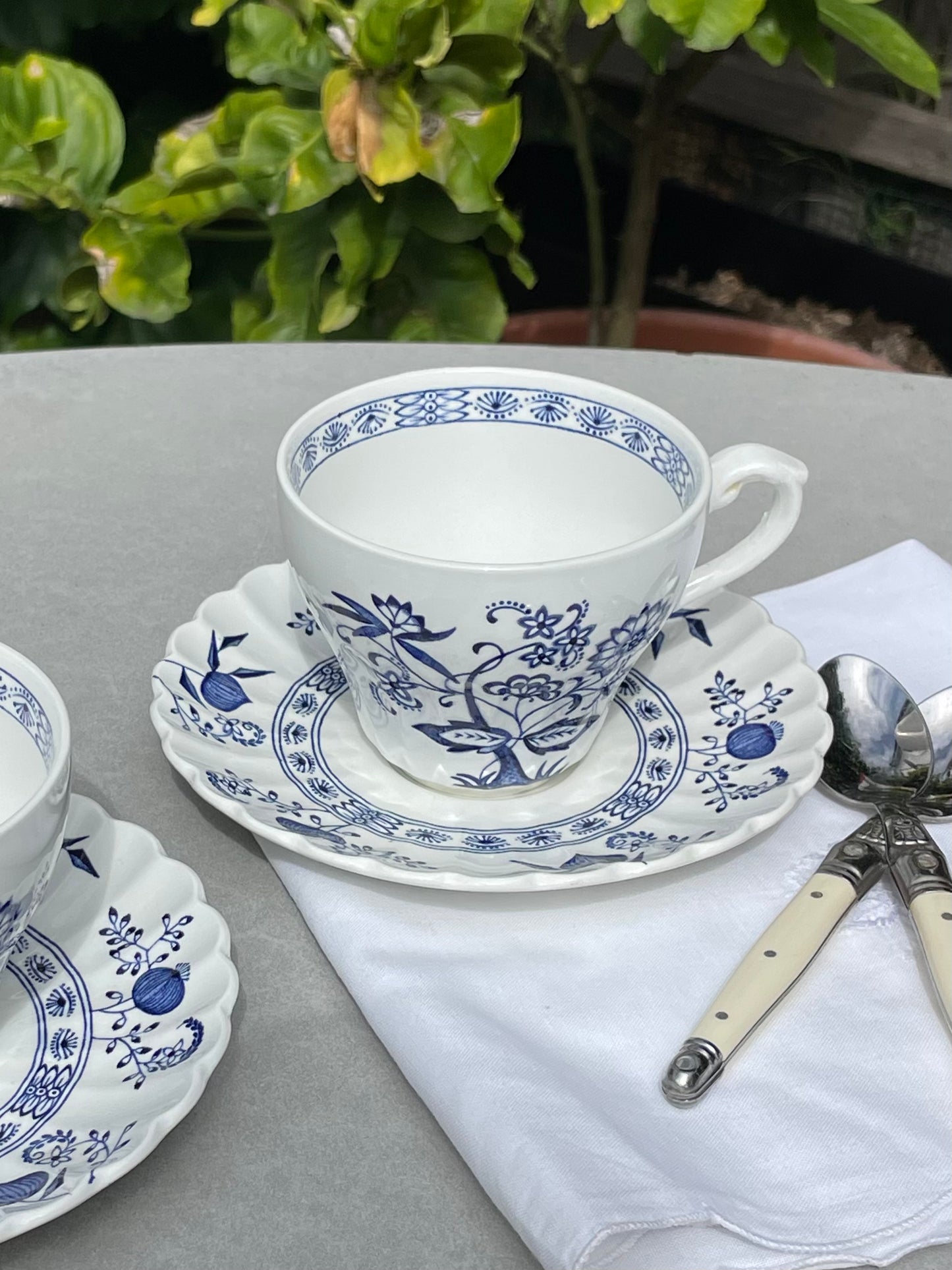 Quincy Teacups, Set of 2