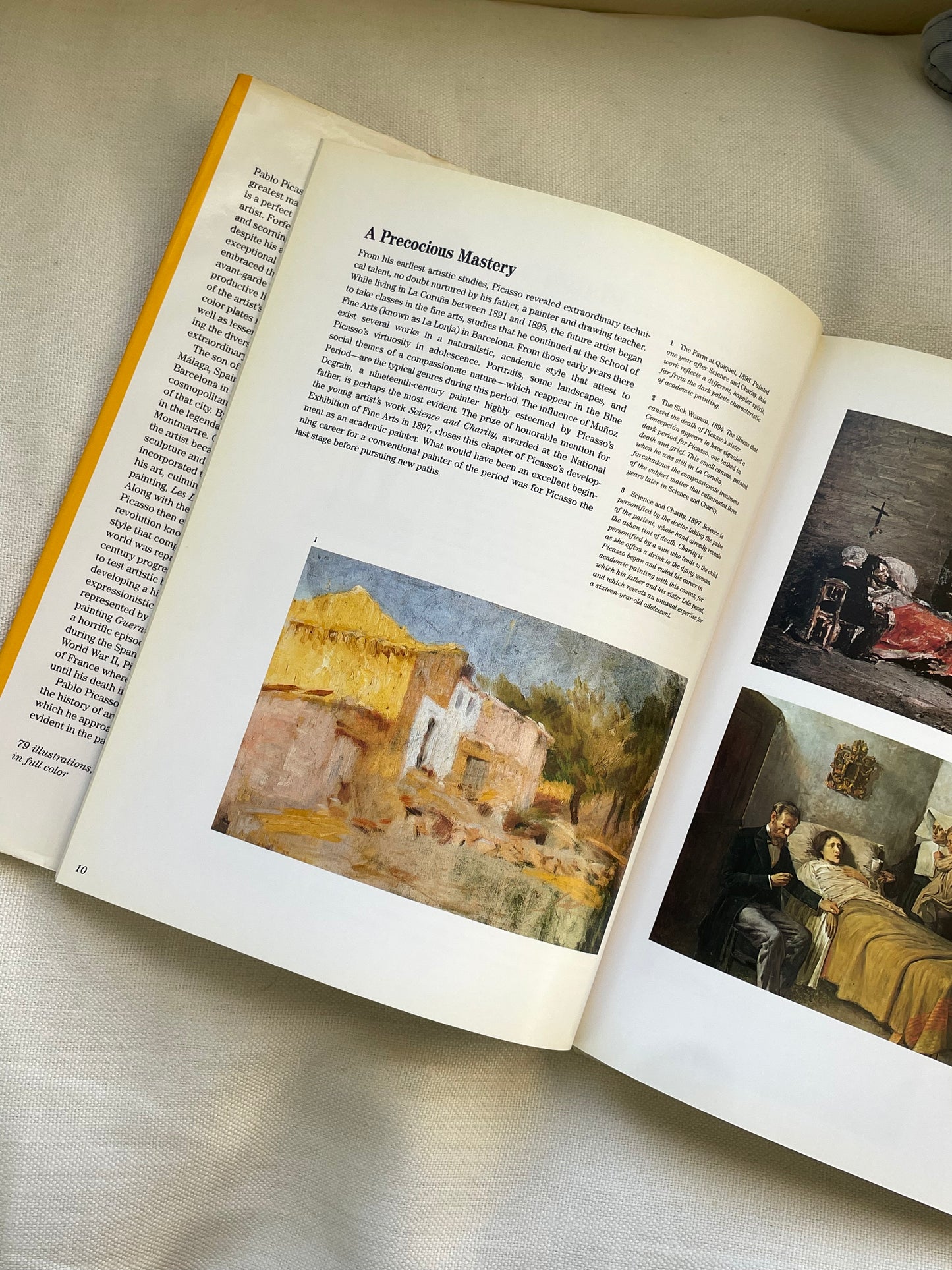 Picasso Art Book