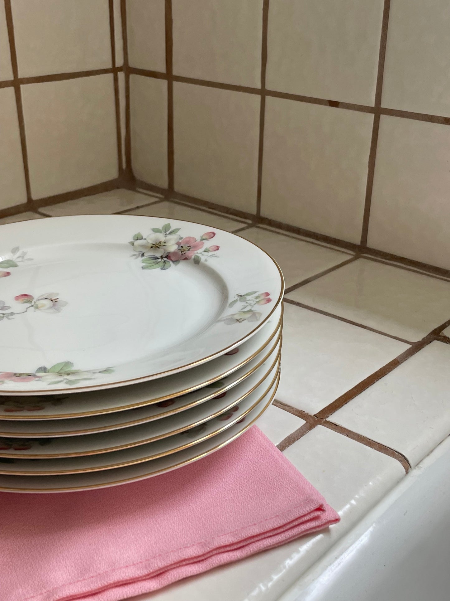 Enchanted Garden Salad Plates, Set of 6