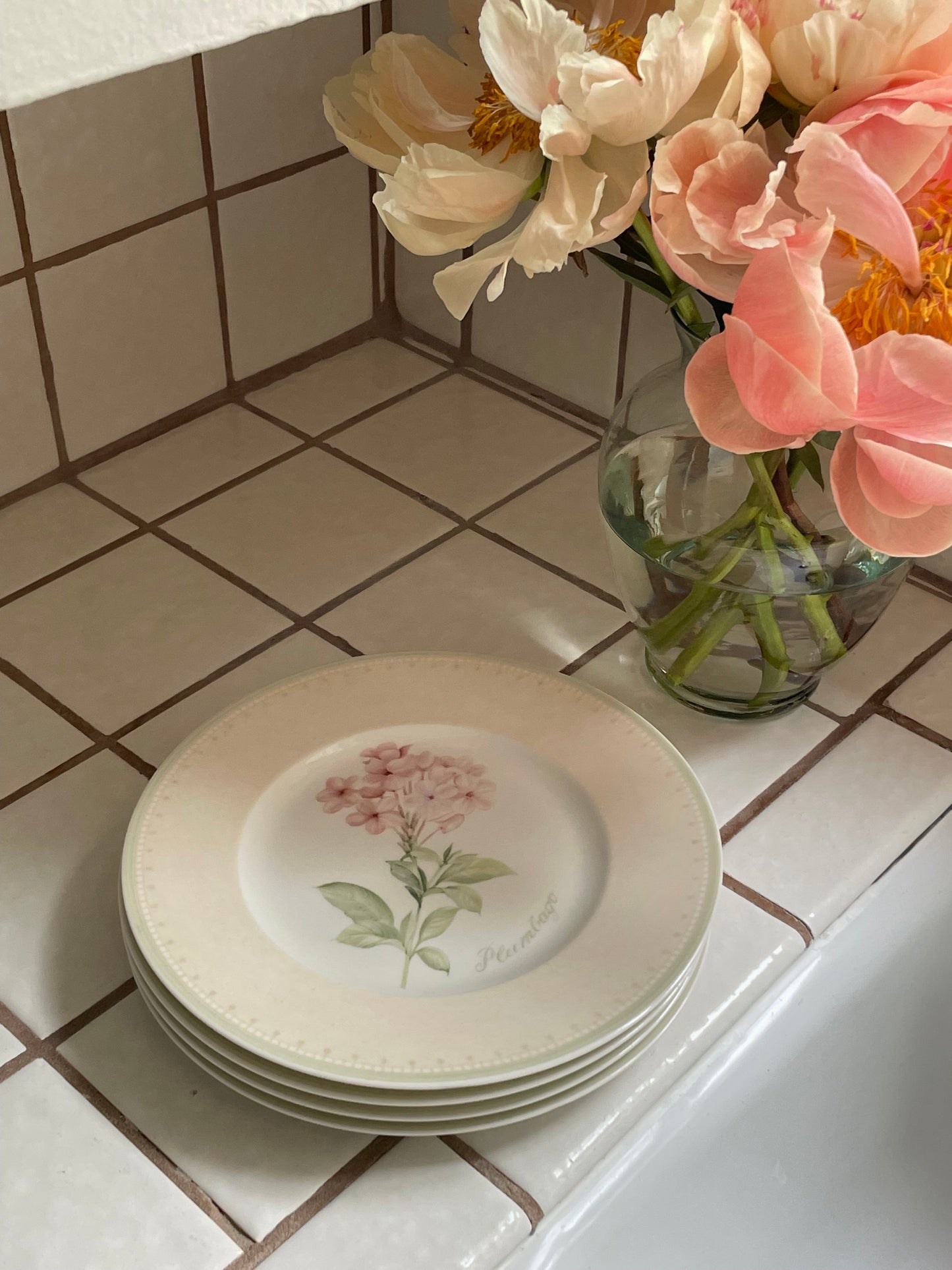 Plumbago Plates, Set of 4