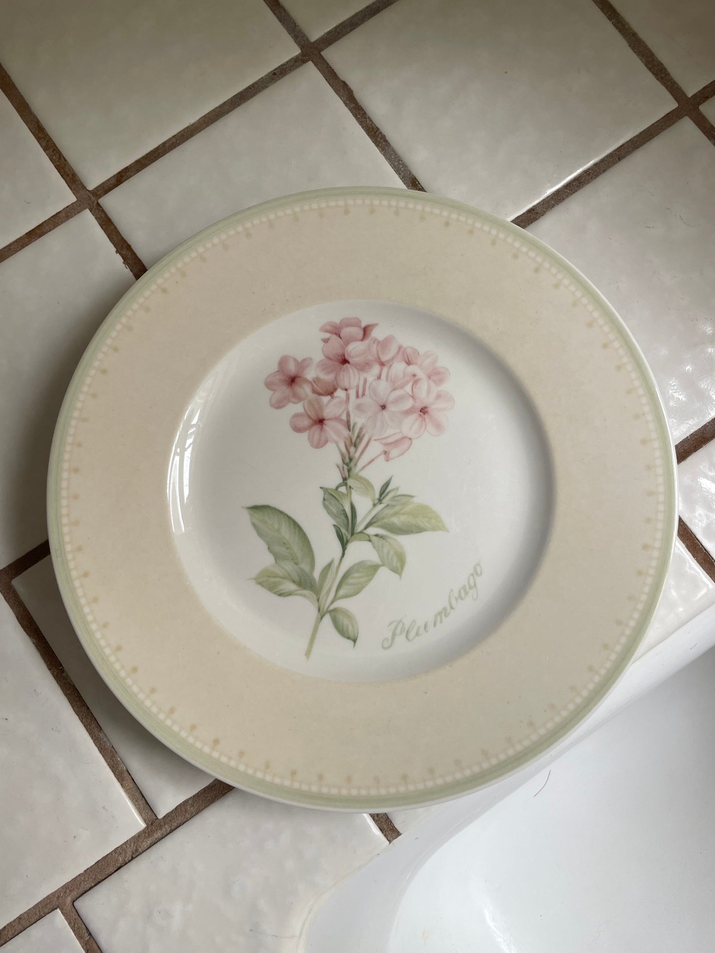 Plumbago Plates, Set of 4
