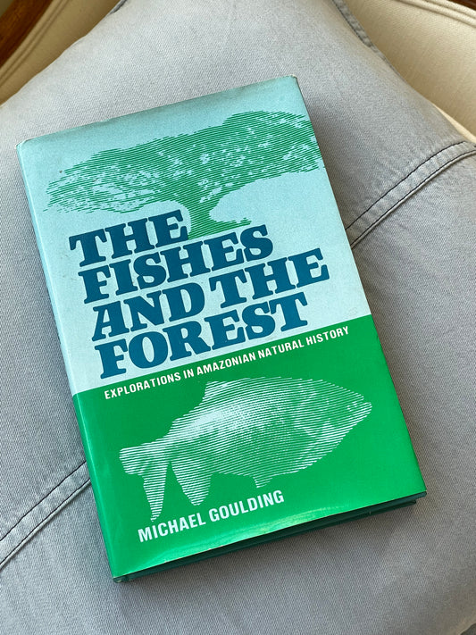 The Fishes and The Forest