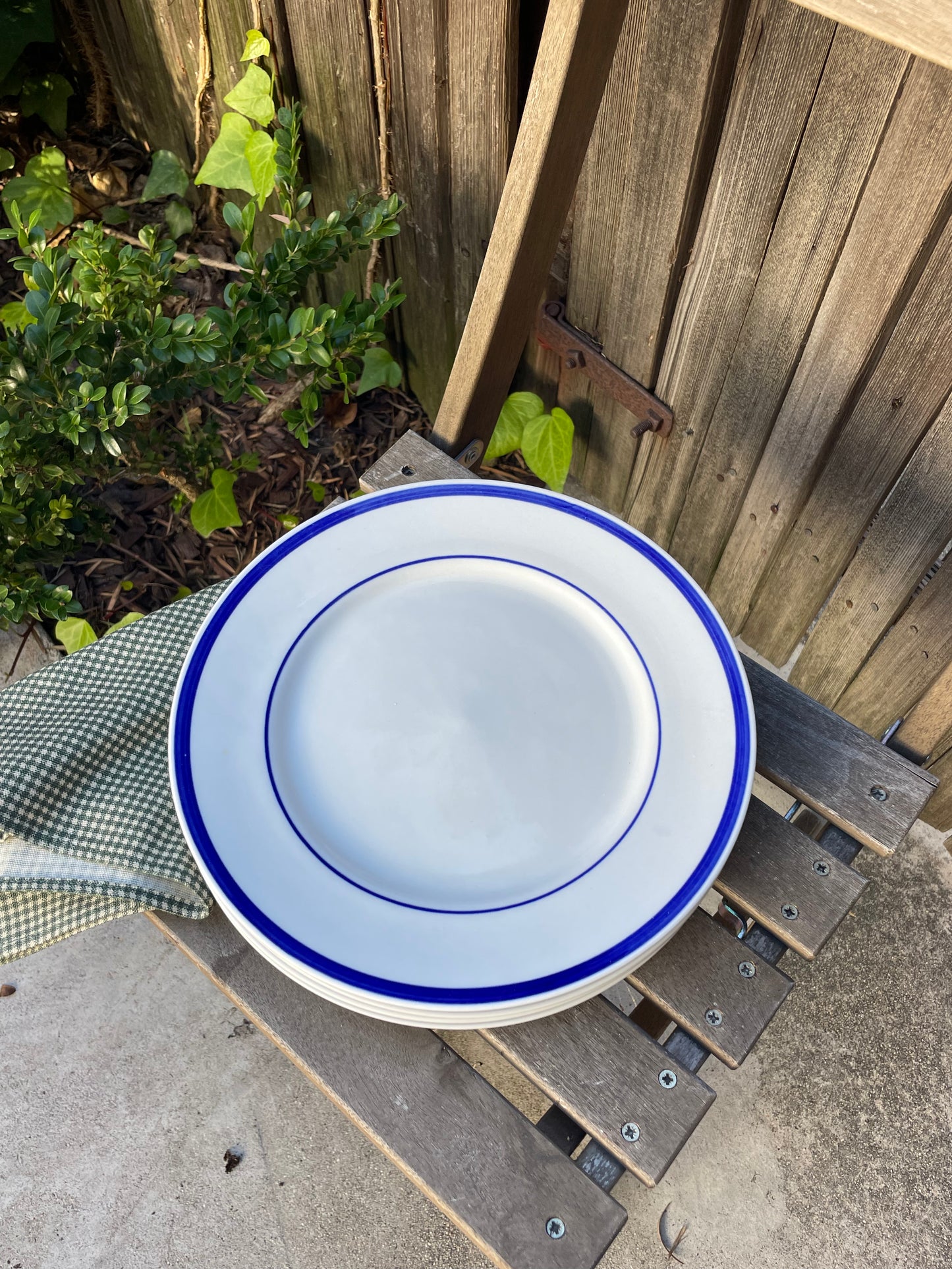Hayes Dinner Plates, Set of 4