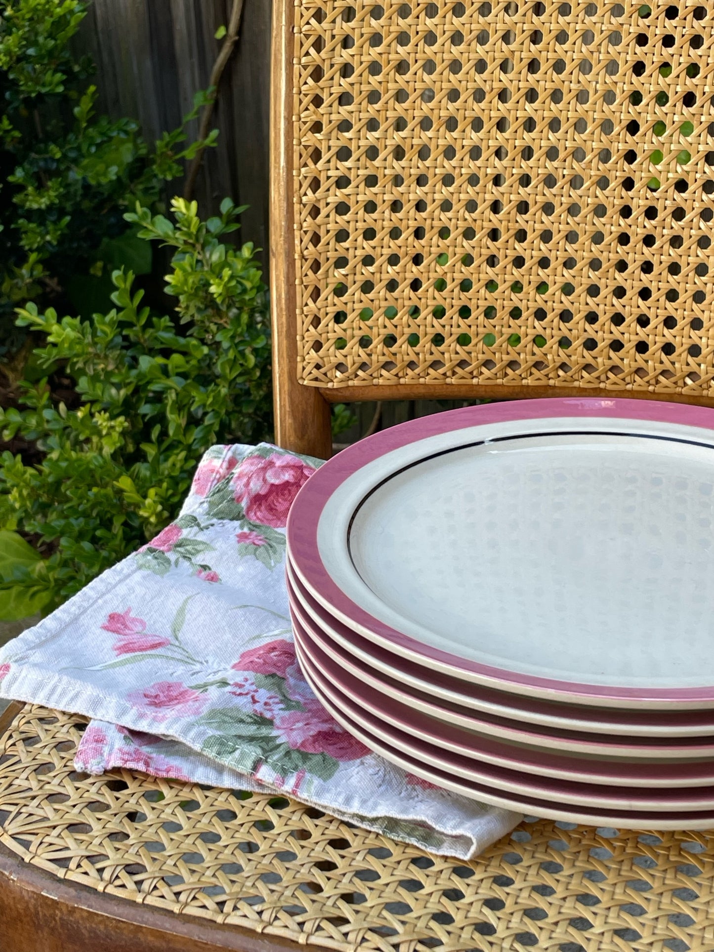 Rodeo Queen Dinner Plates, Set of 6