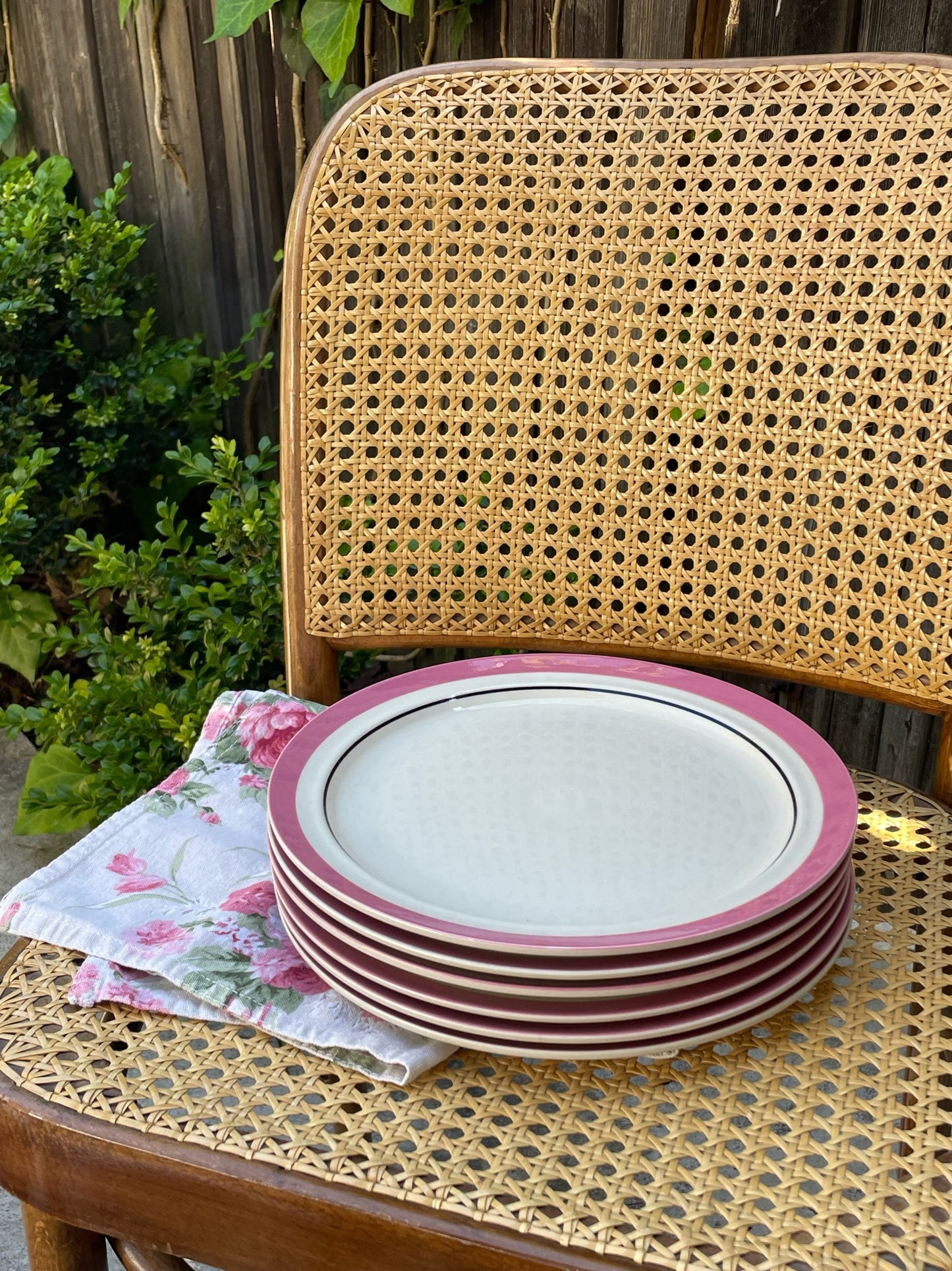 Rodeo Queen Dinner Plates, Set of 6