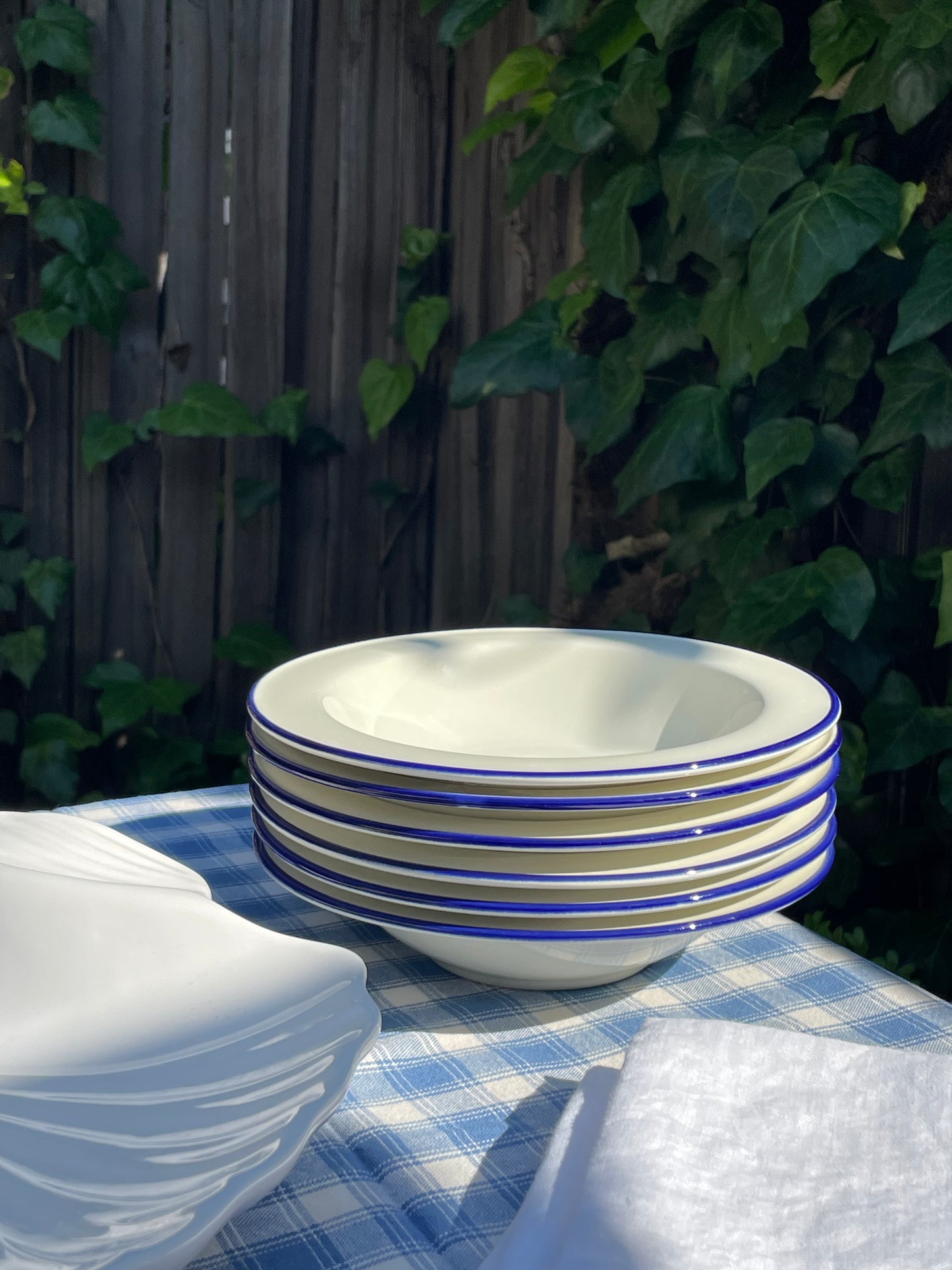 Stallion Bowls, Set of 6