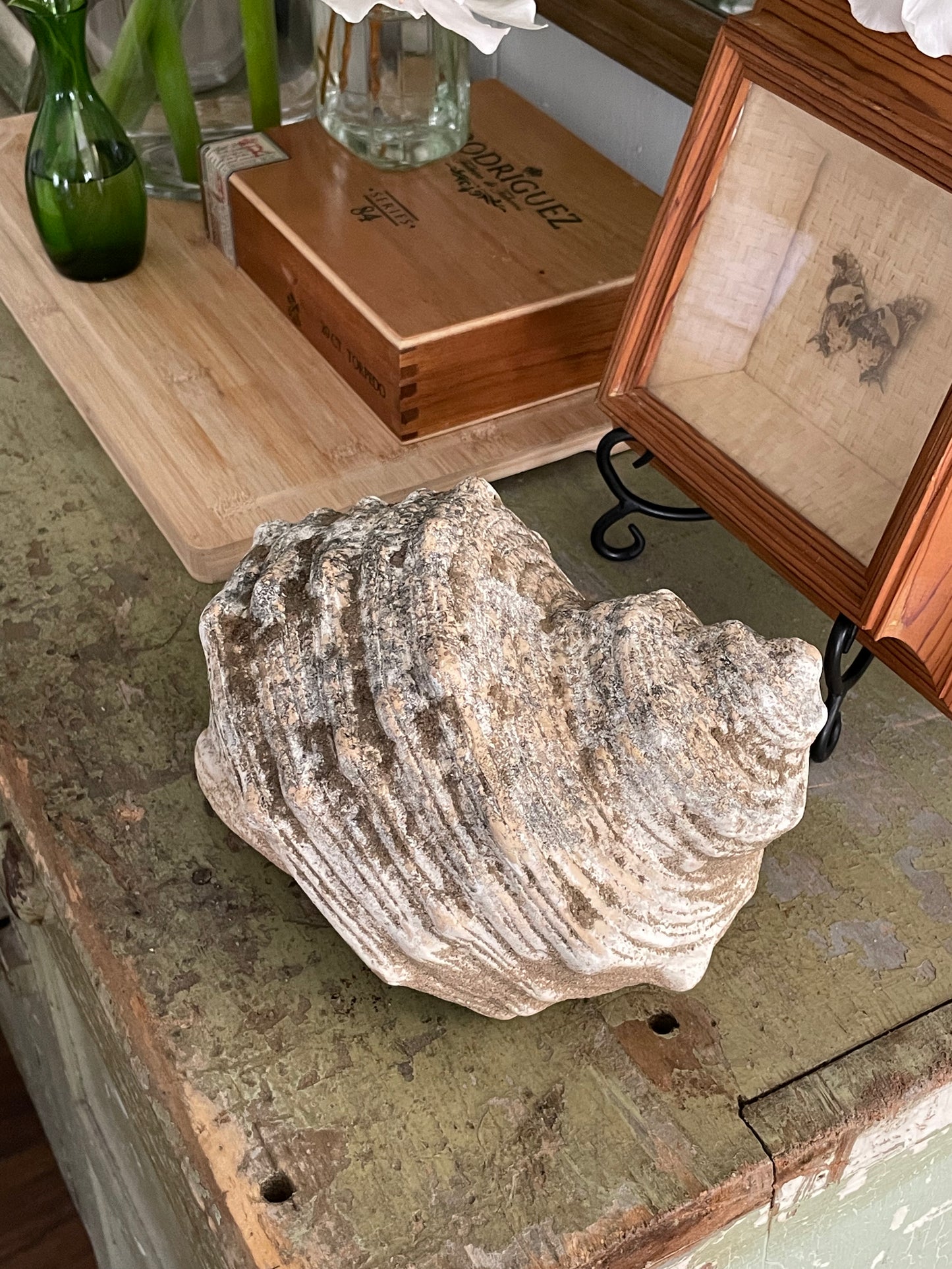 Mossy Cove Decorative shell