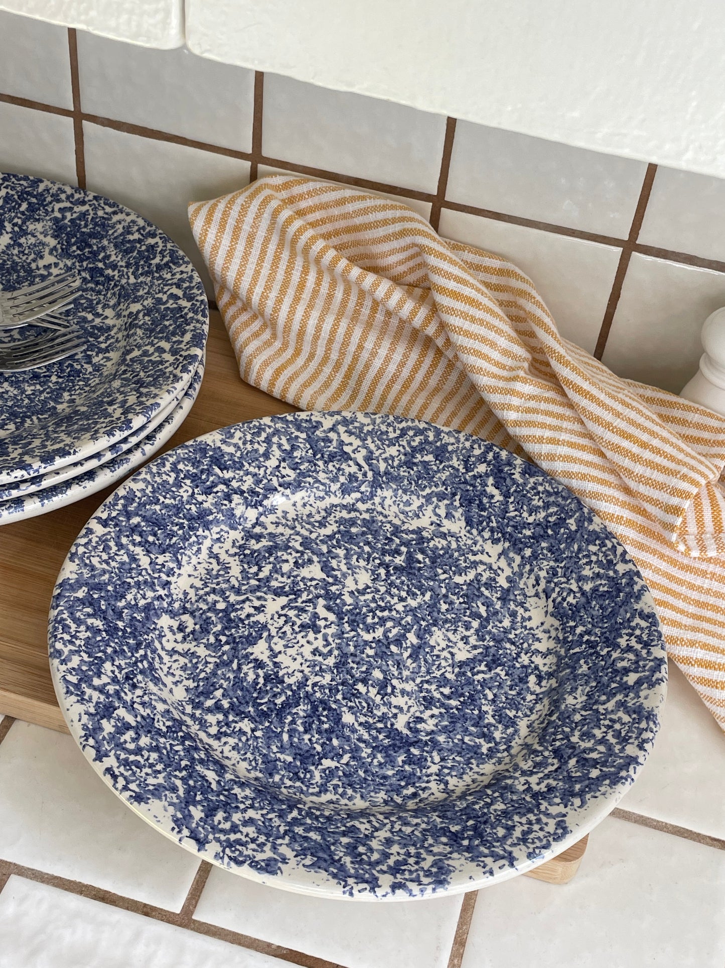 Seaworthy Sponge Paint Dinner Plates, Set of 4