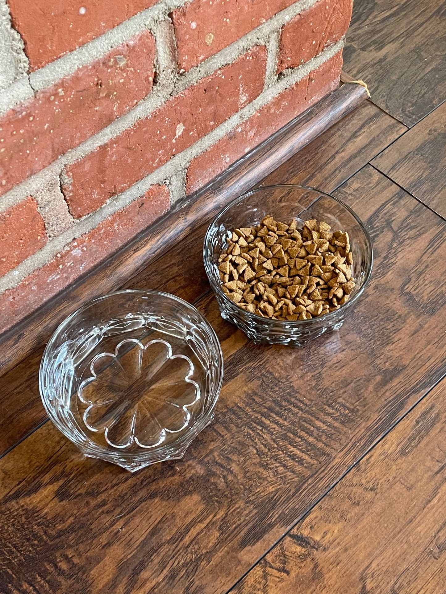 Ralphie Dog Bowls, Set of 2