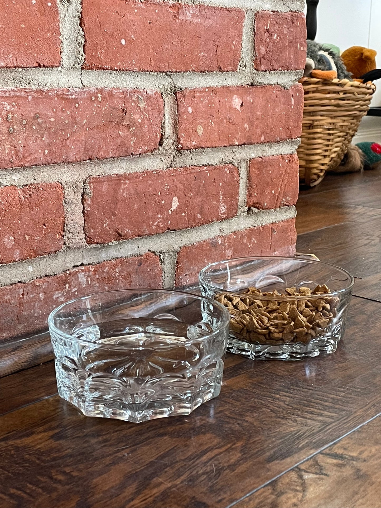 Ralphie Dog Bowls, Set of 2