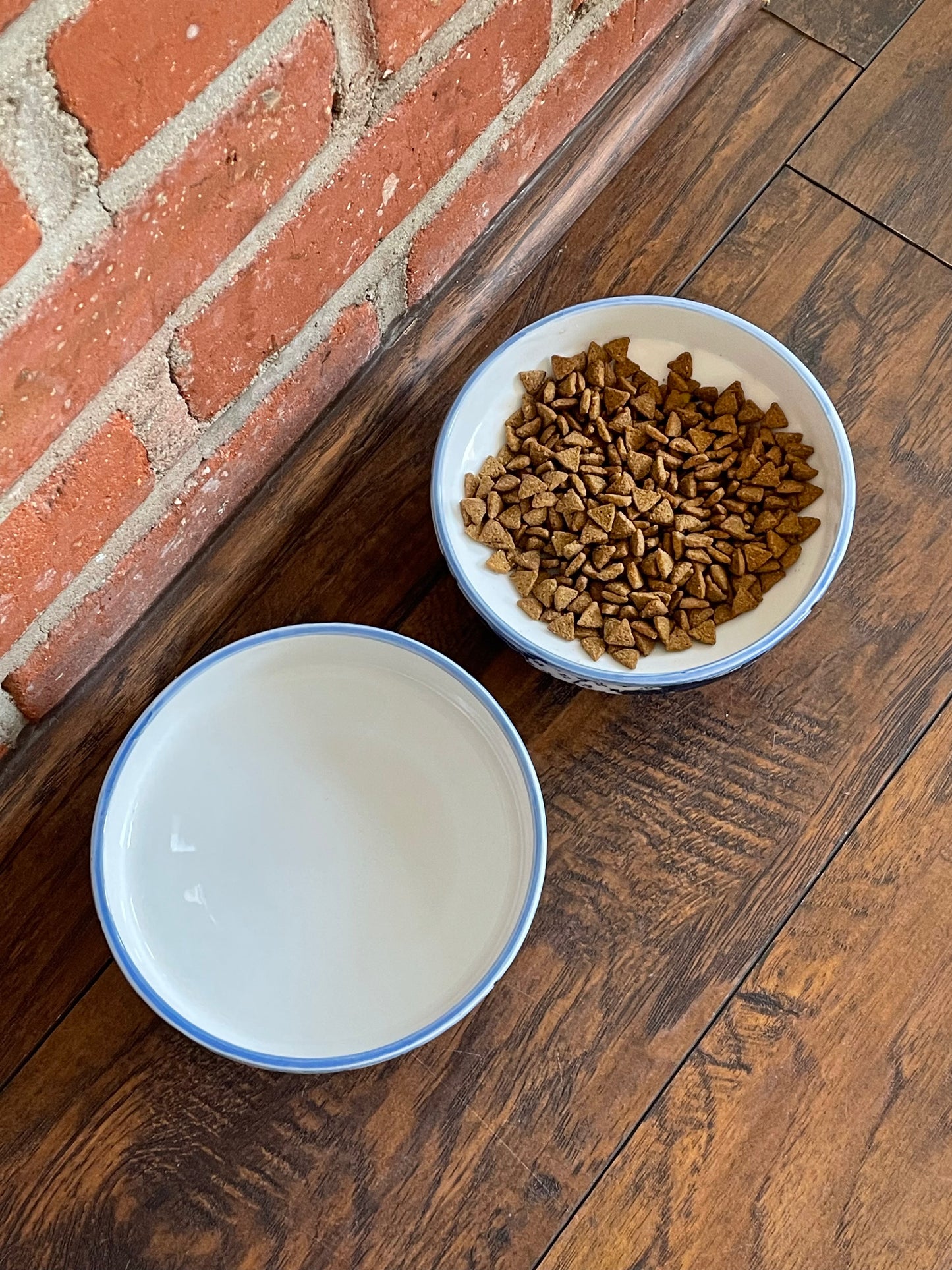 Blue Jay Dog Bowls, Set of 2