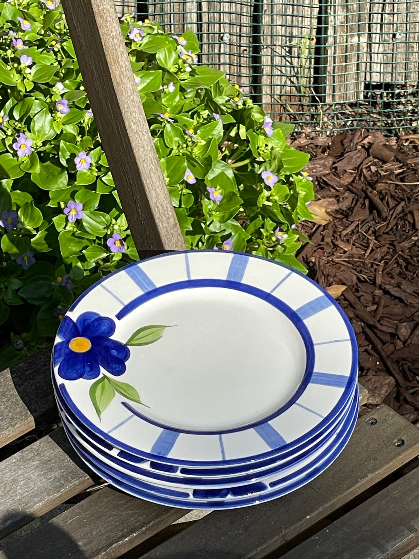 Morning Glory Plates, Set of 5