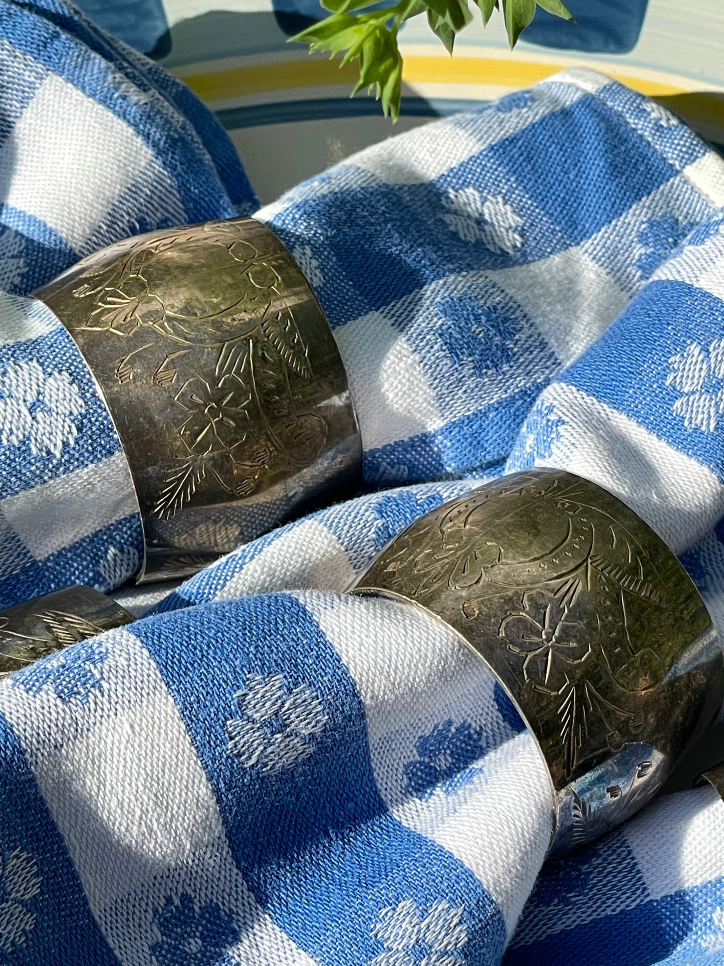 Porch Picnic Napkin Rings, Set of 6