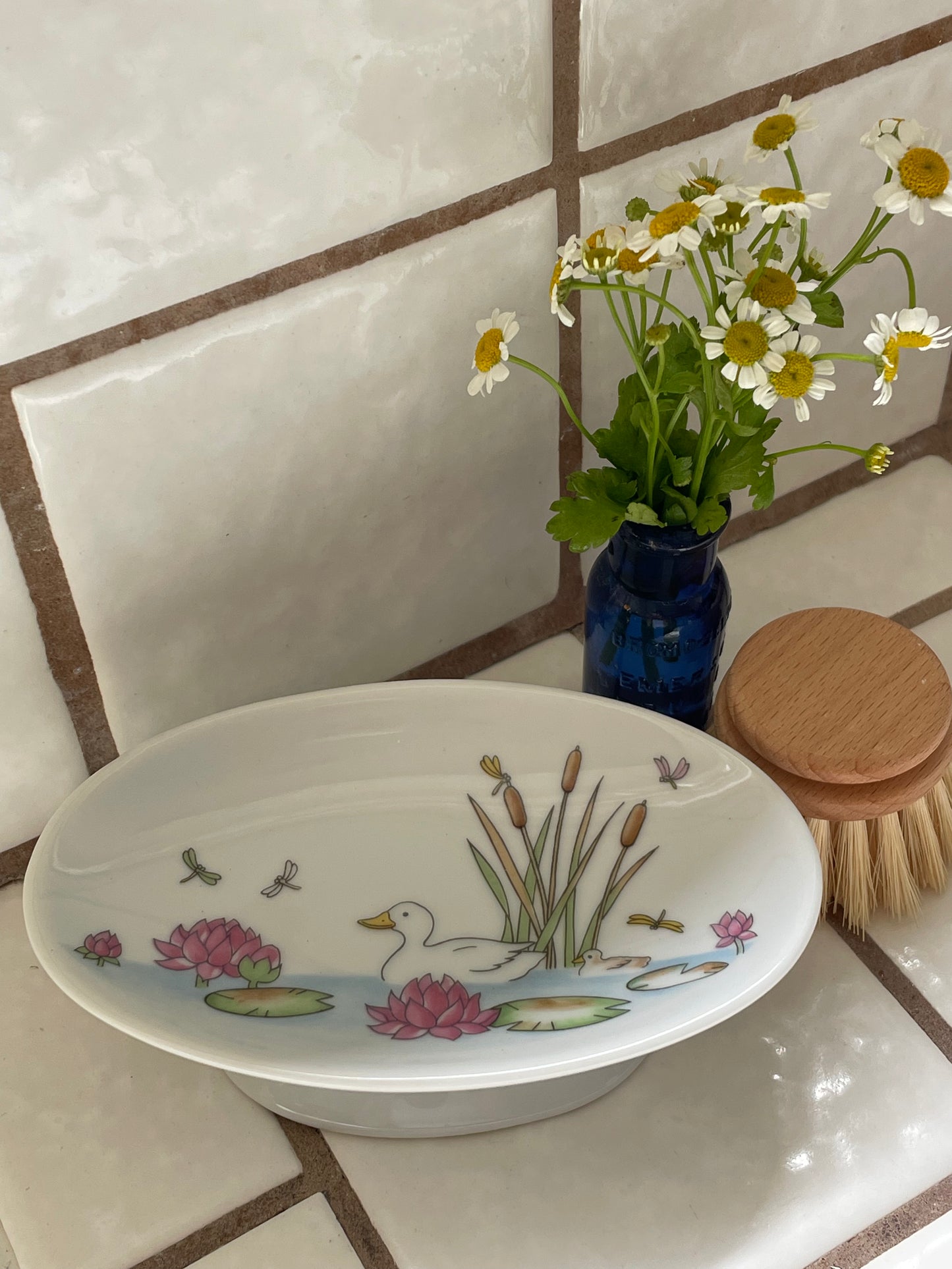 Duck Pond Soap Dish