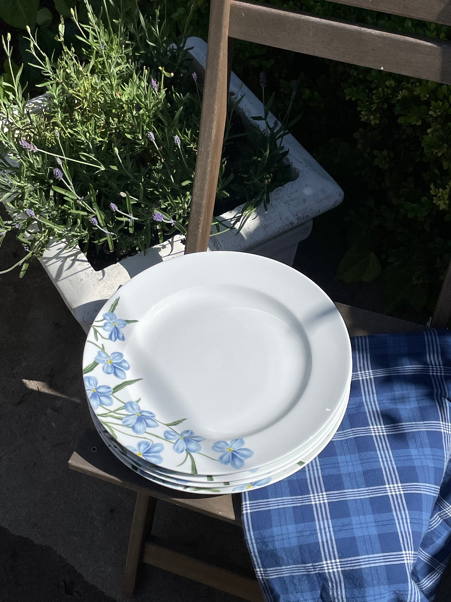 Martha Stewart Garden Dinner Plates