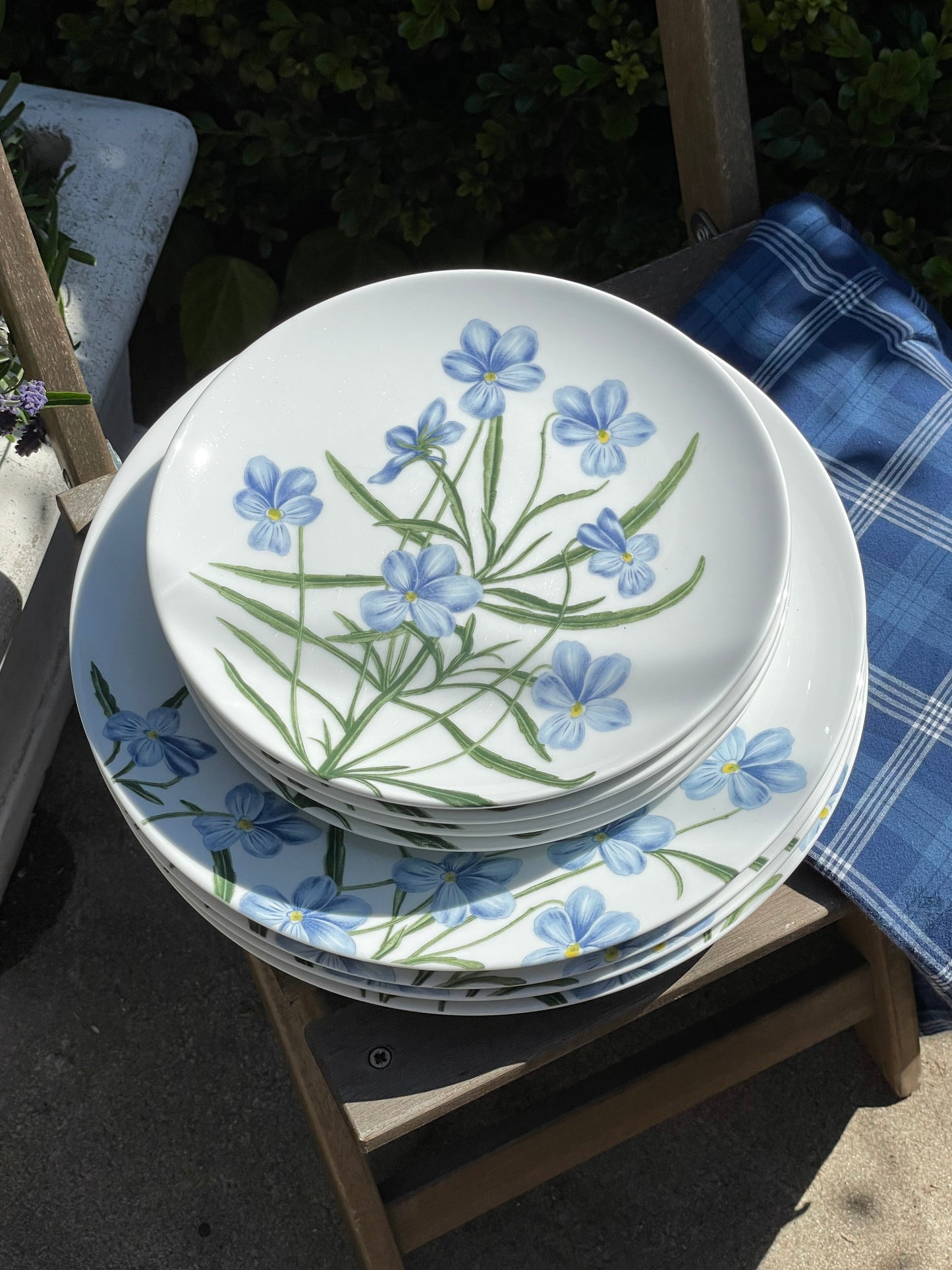 Martha Stewart Garden Dinner Plates