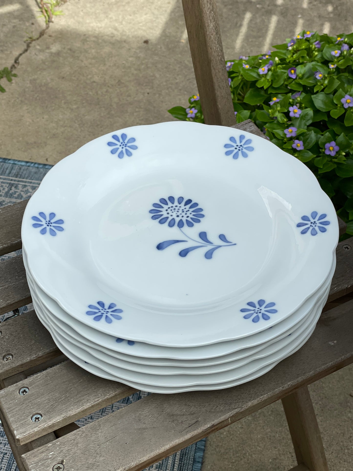 Blue Daisy Dinner Plates, Set of 6