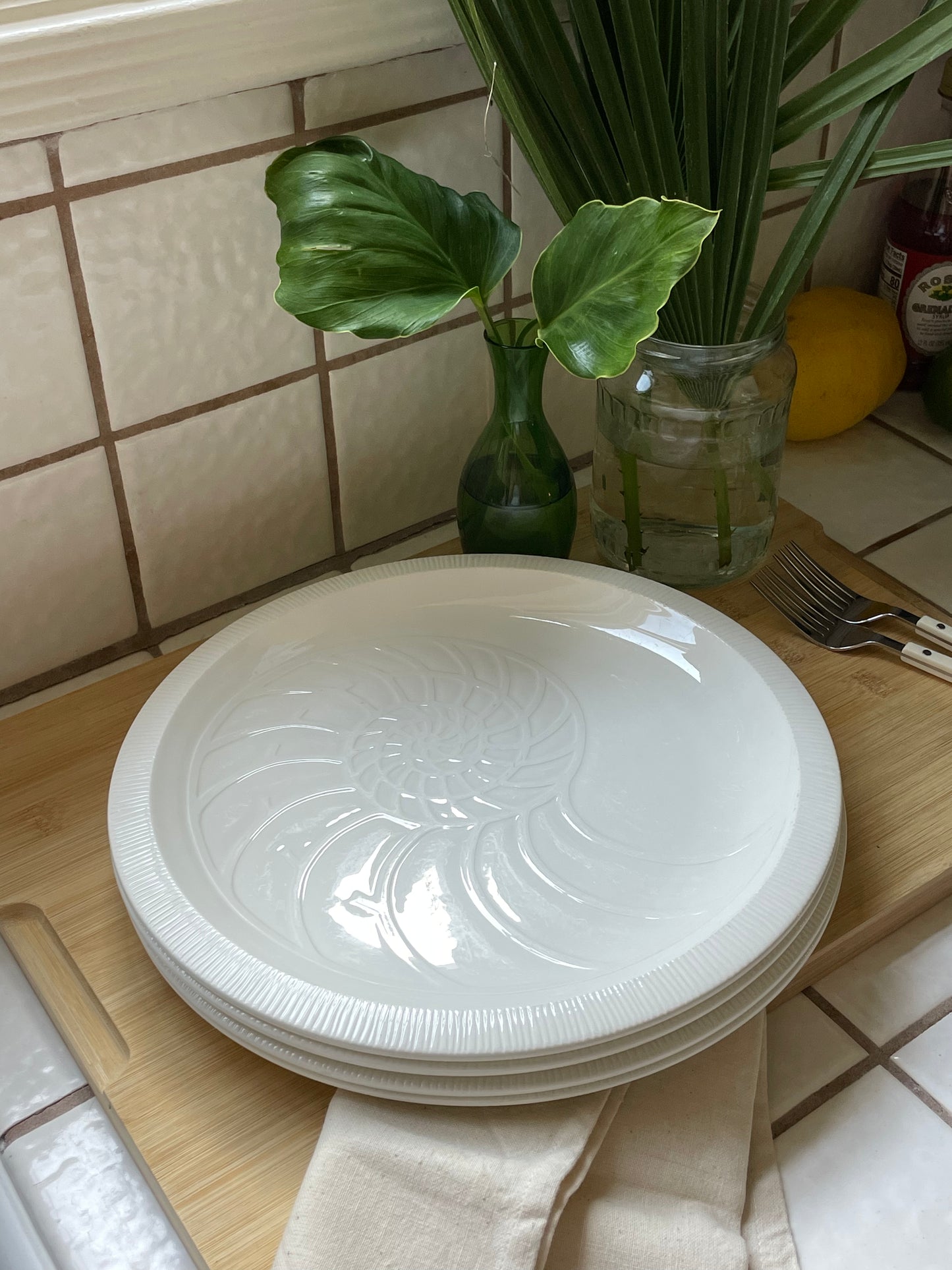 Nautilus Dinner Plates, Set of 4
