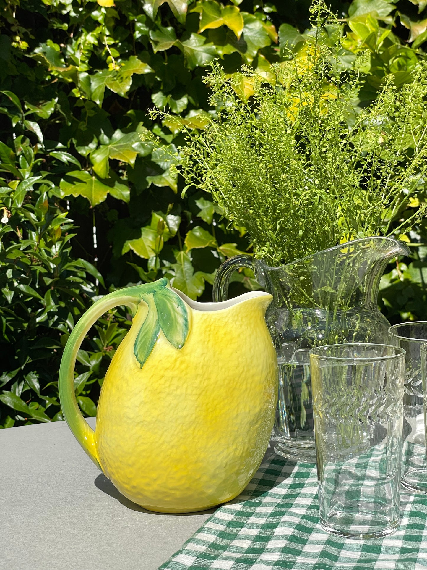 Lemon Grove Pitcher