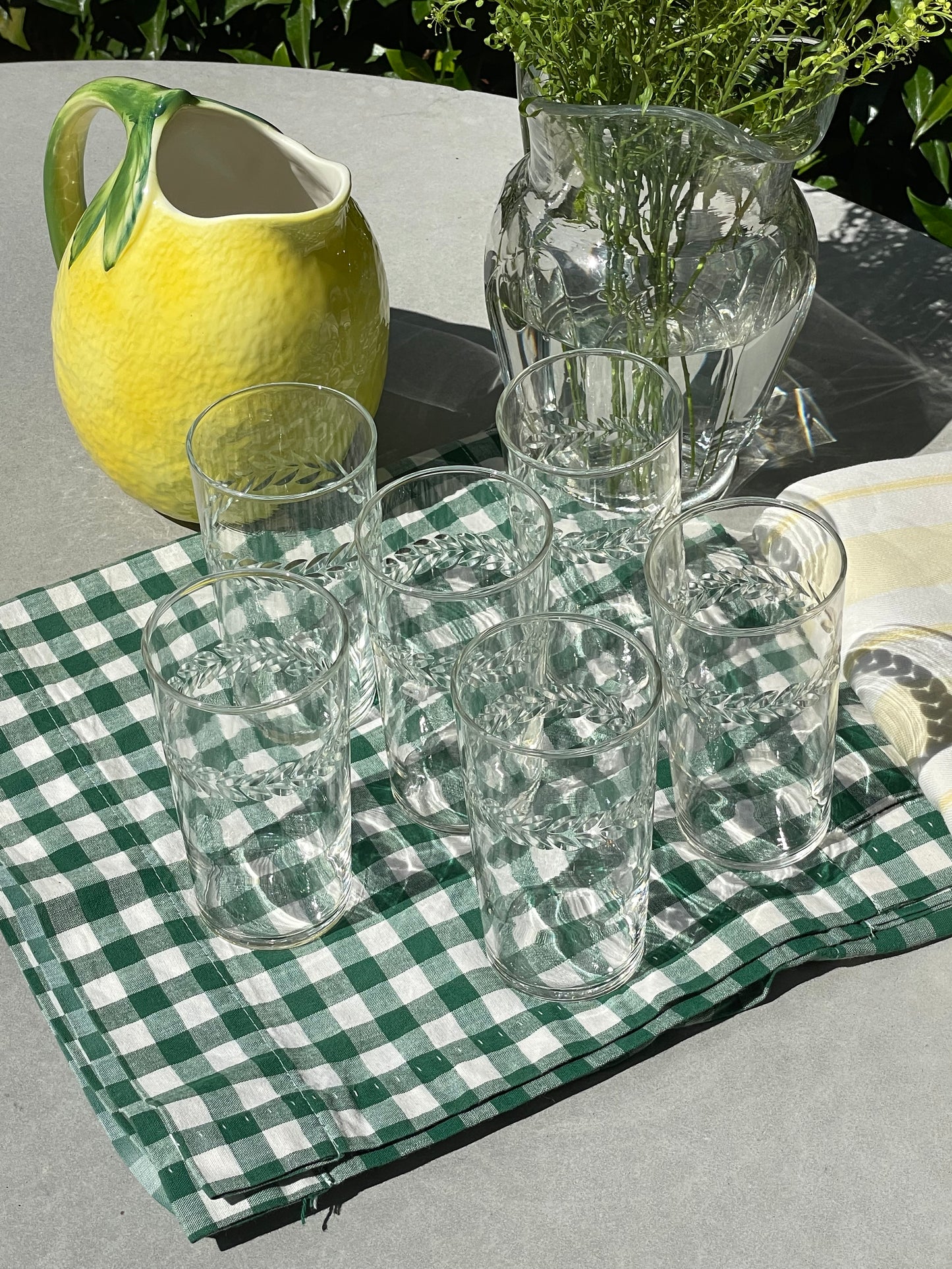 Lemon Grove Pitcher