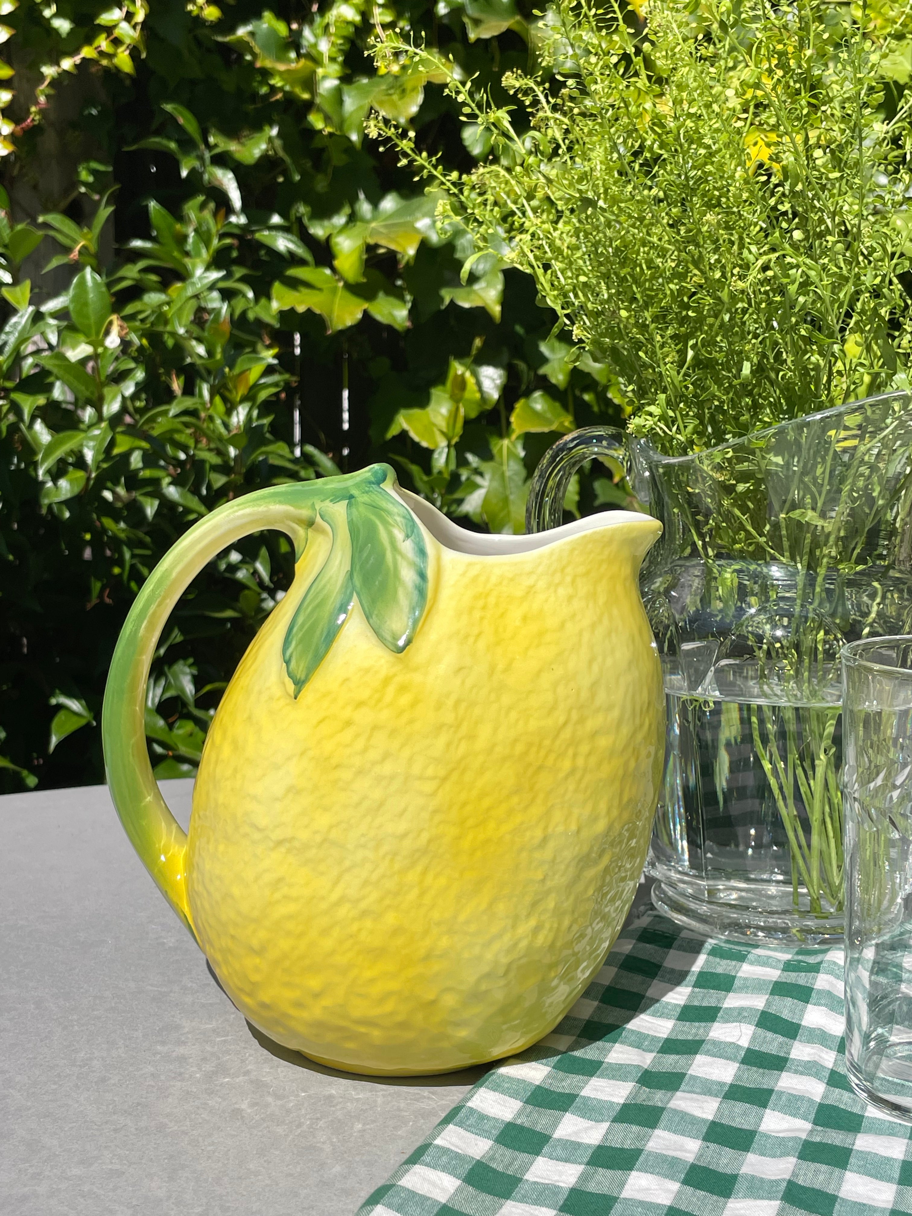 Lemon Grove Pitcher