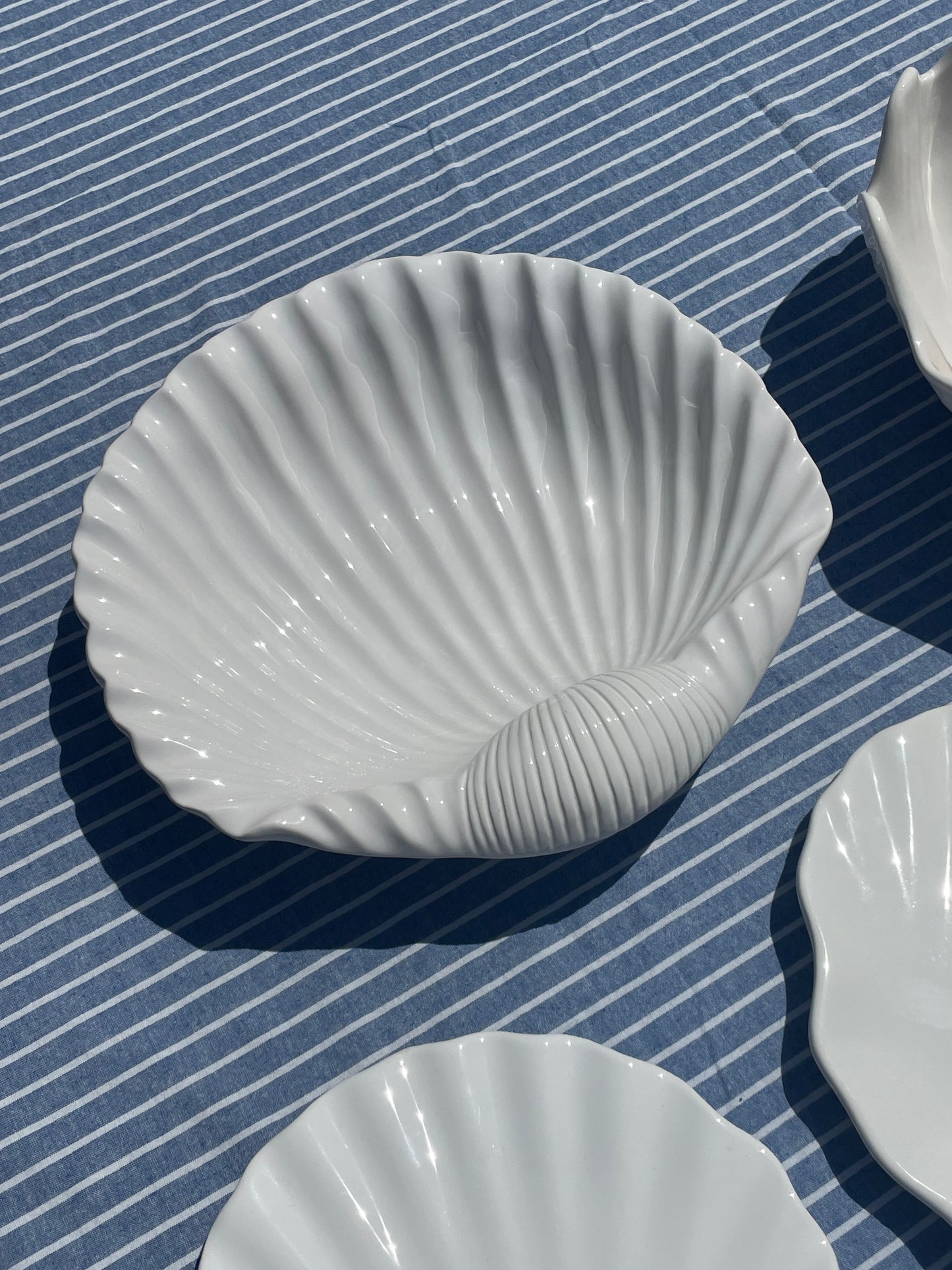 La Jolla Shell