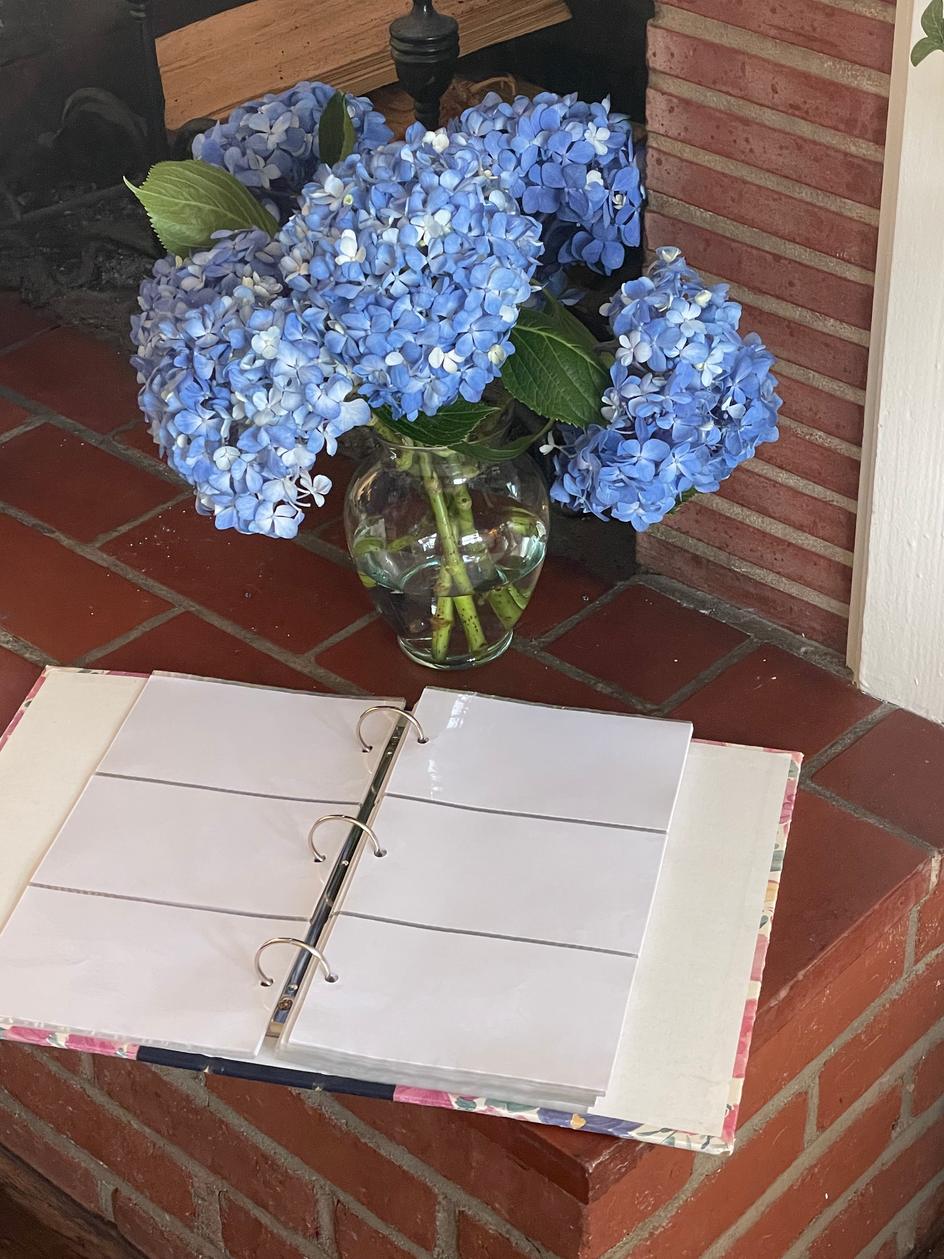 Wildflower Photo Album