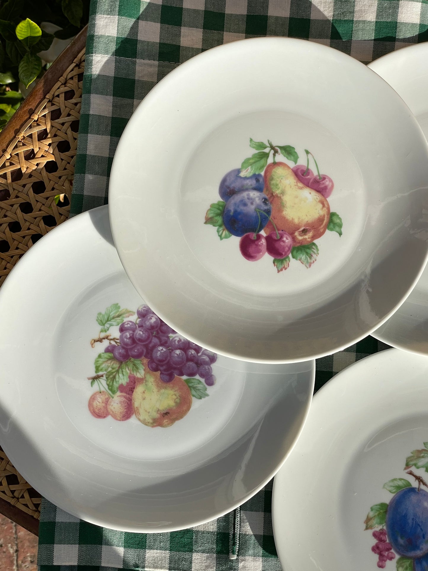 Fresh Picked Appetizer Plates, Set of 4