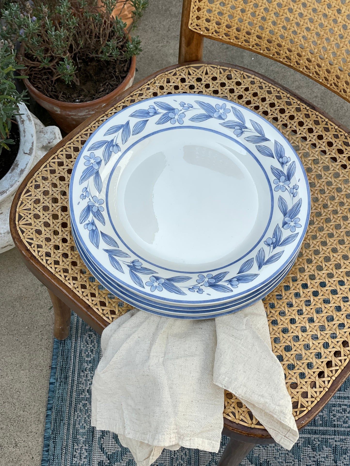 Big Sky Dinner Plates, Set of 5