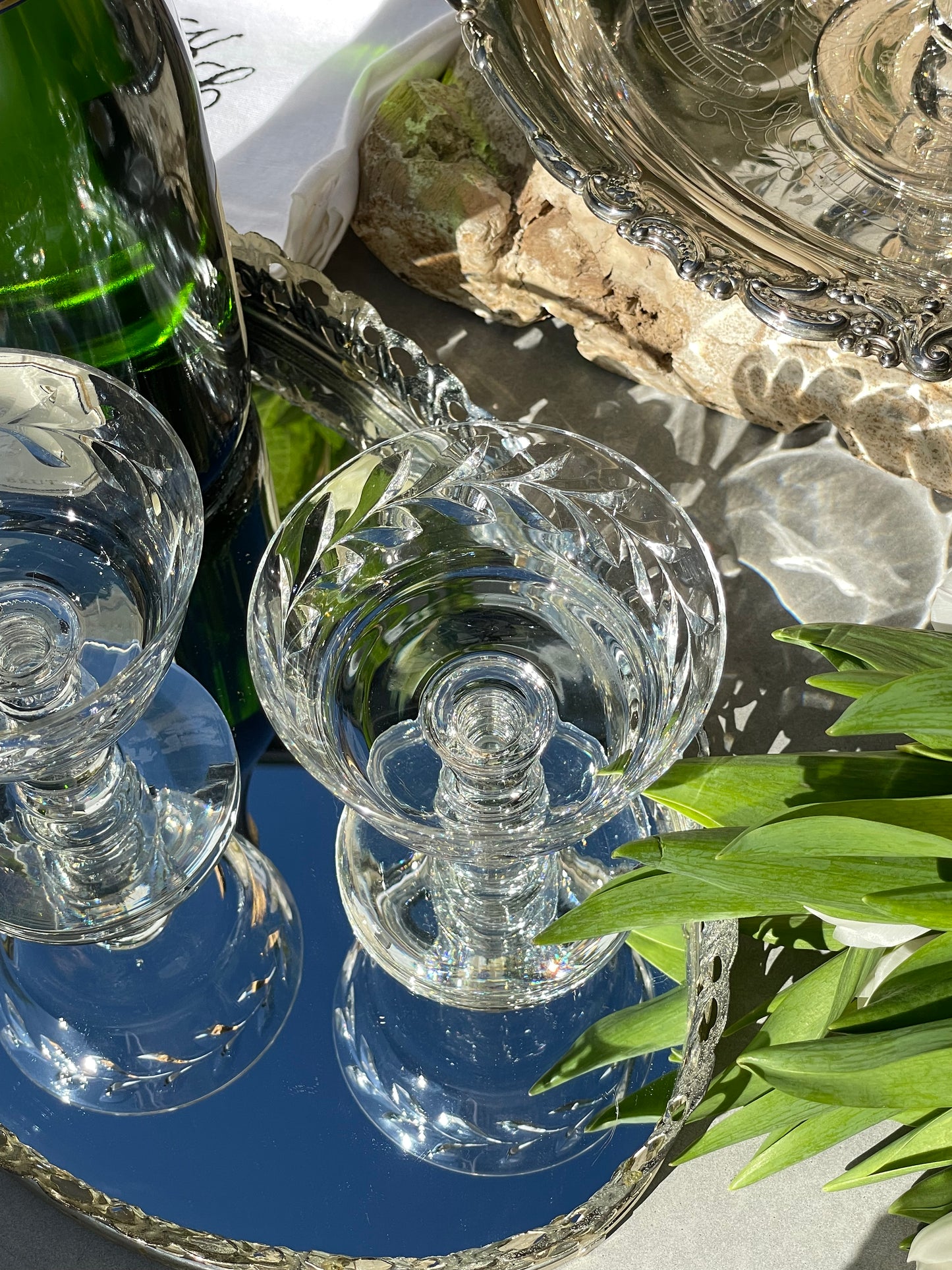 Augusta Coupes, Set of 6