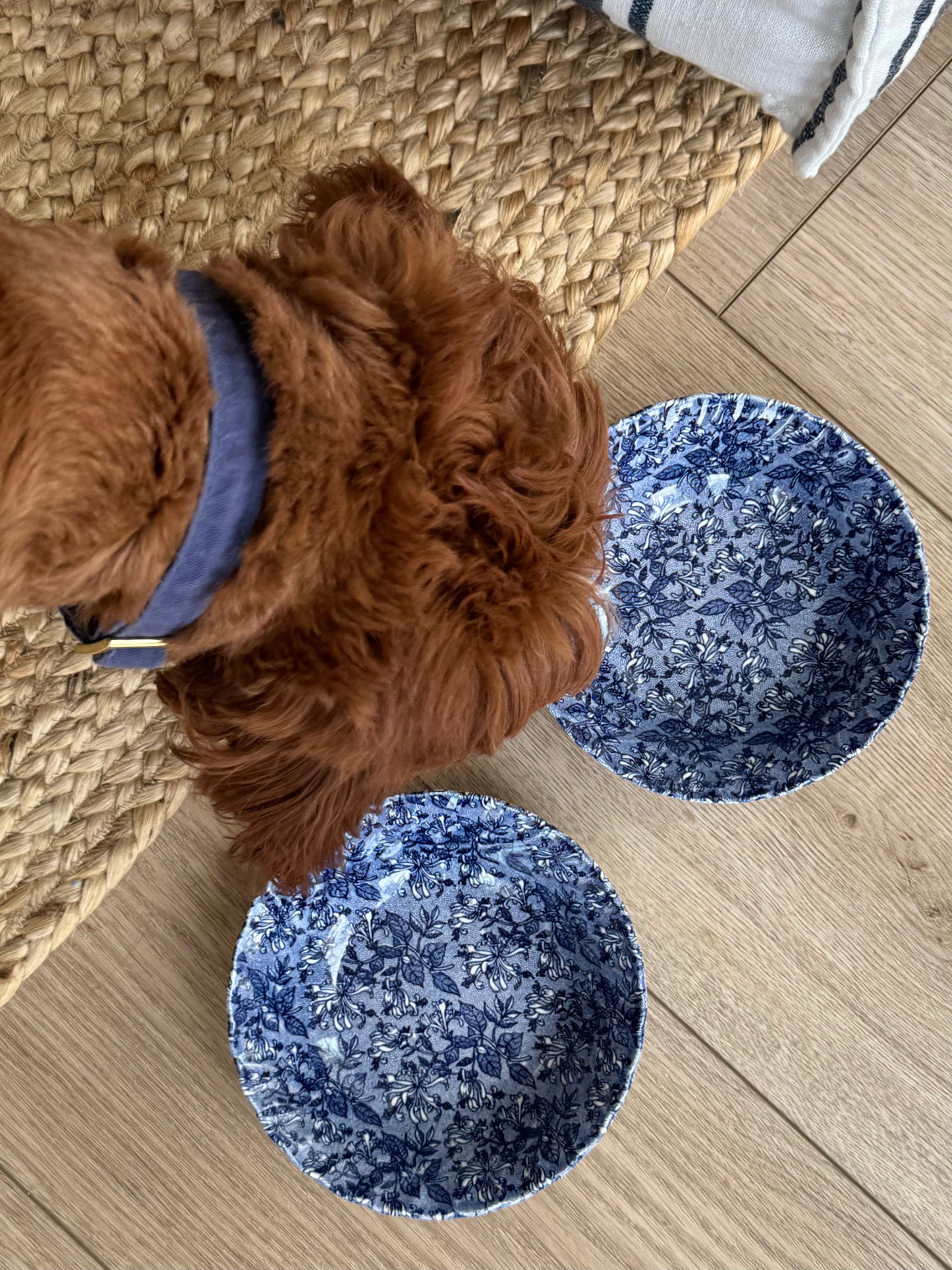 Romeo Pet Bowls
